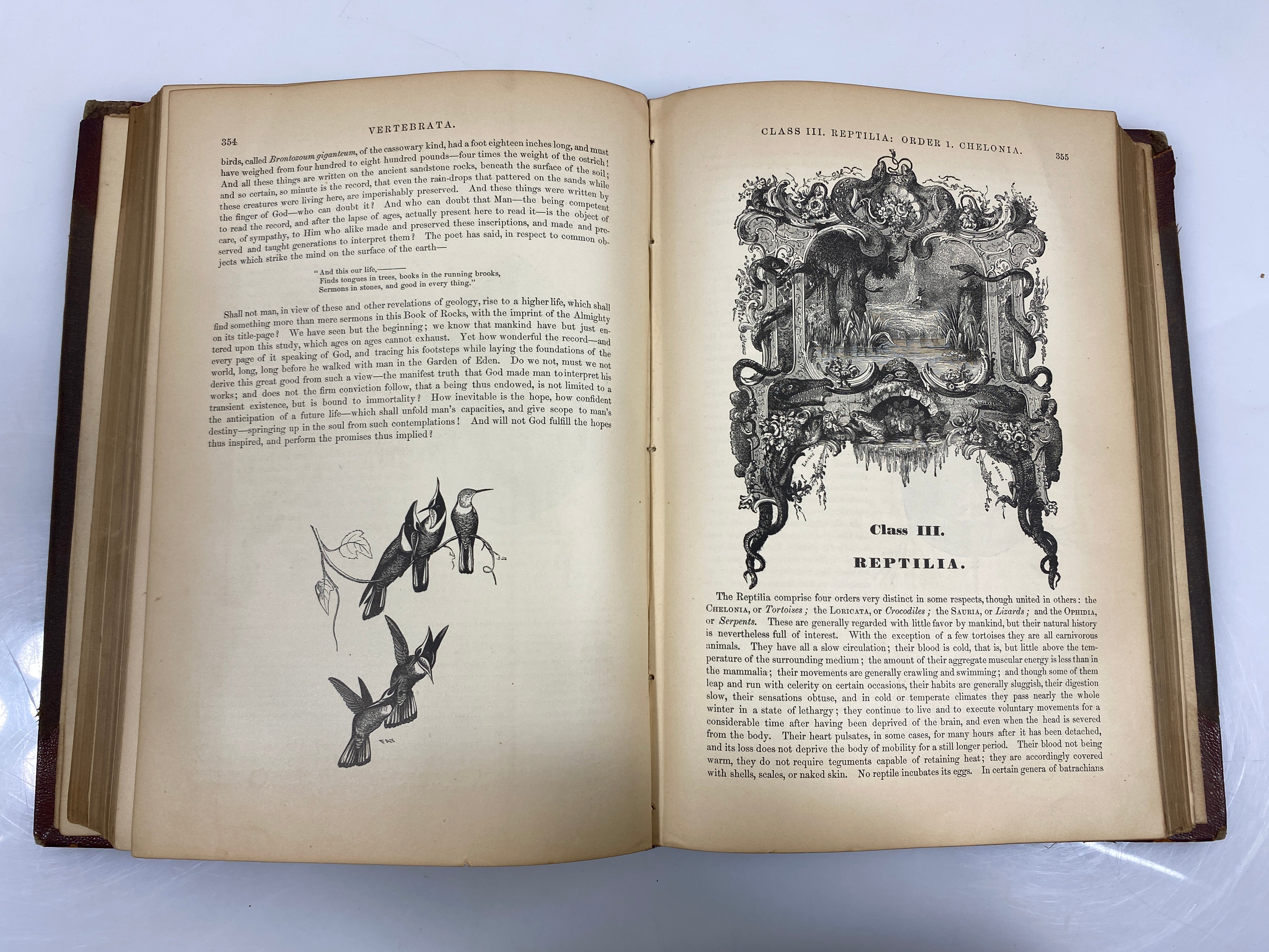 The Animal Kingdom Illustrated by Goodrich Vol. II 1879 HC