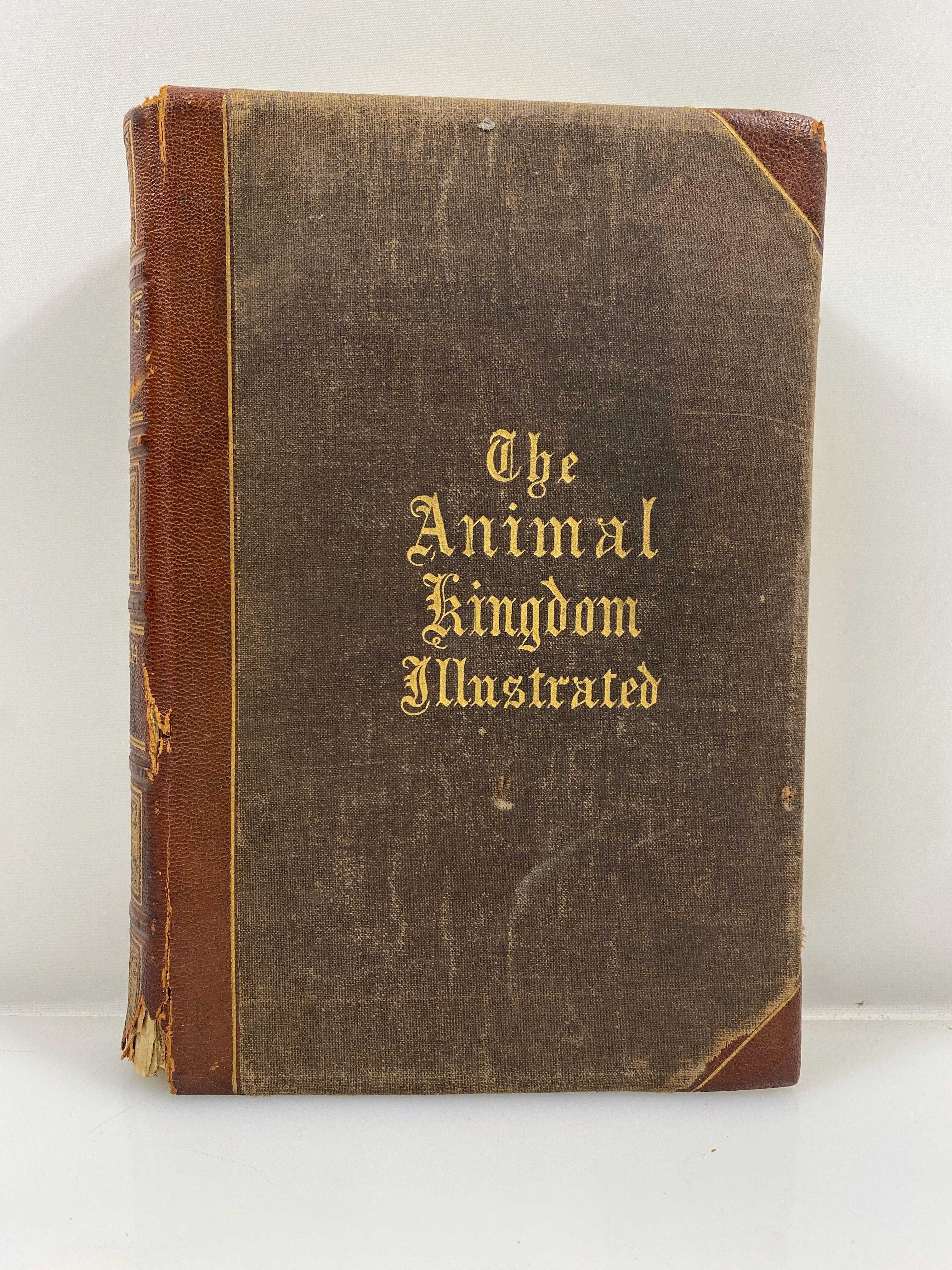 The Animal Kingdom Illustrated by Goodrich Vol. II 1879 HC