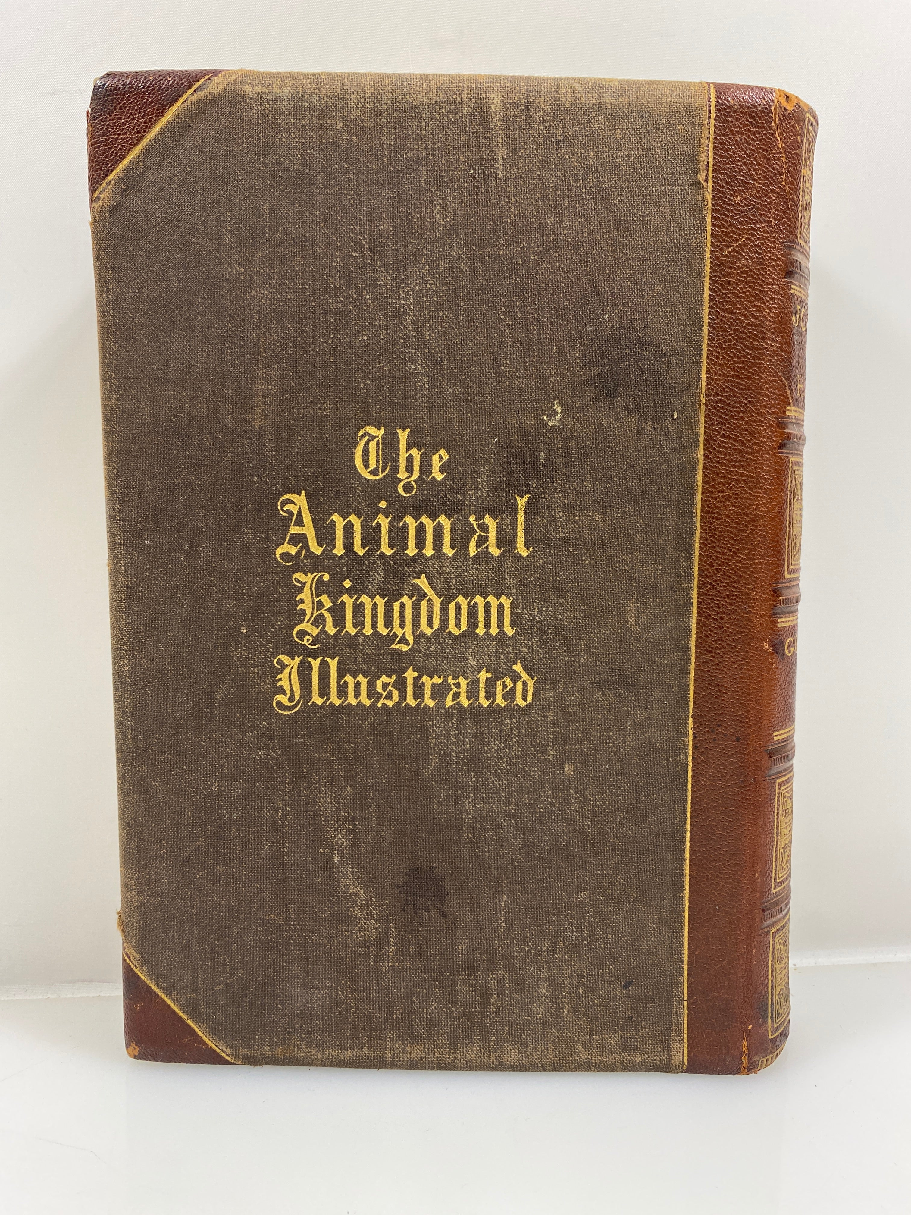 The Animal Kingdom Illustrated by Goodrich Vol. II 1879 HC