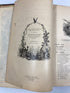 The Animal Kingdom Illustrated by Goodrich Vol. II 1879 HC