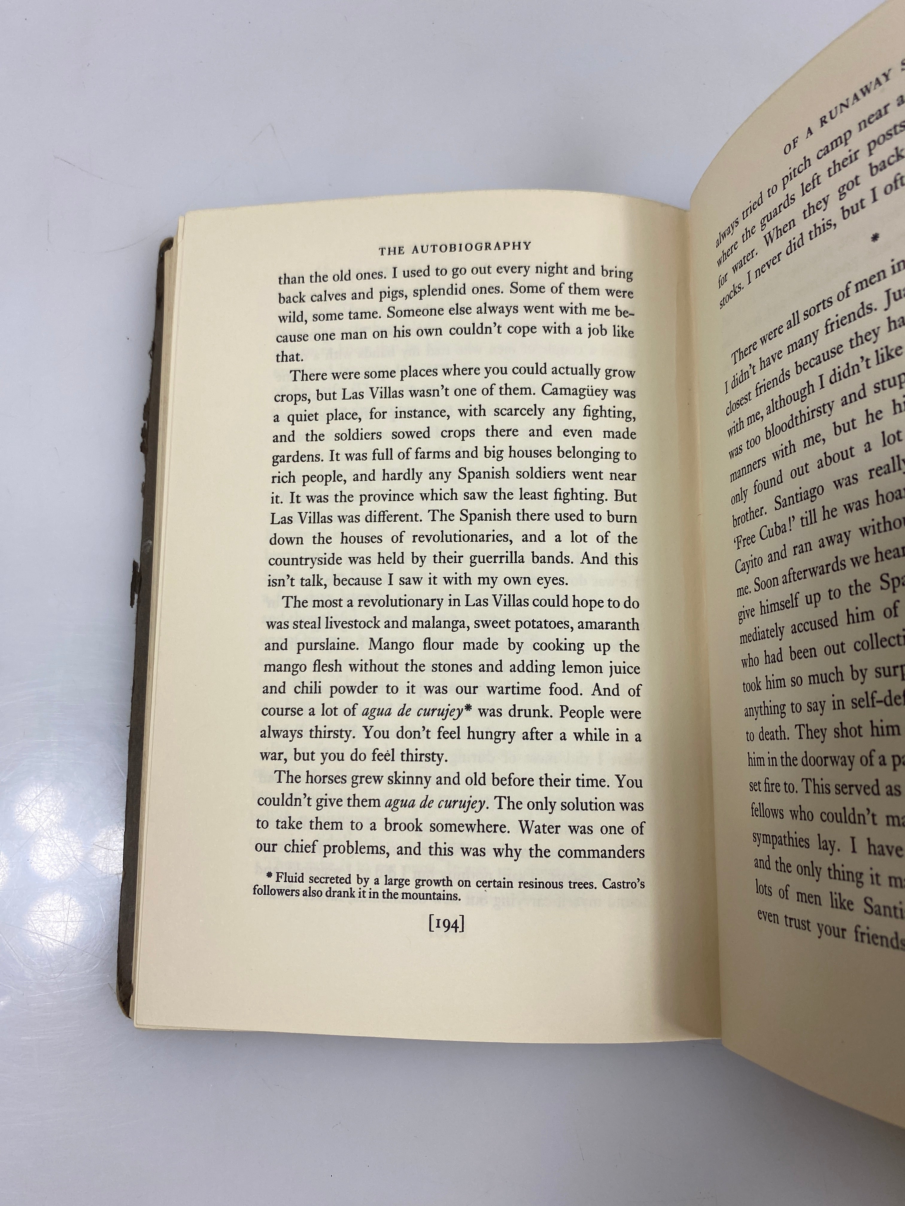 The Autobiography of a Runaway Slave by Montejo Ex-library 1968 HC
