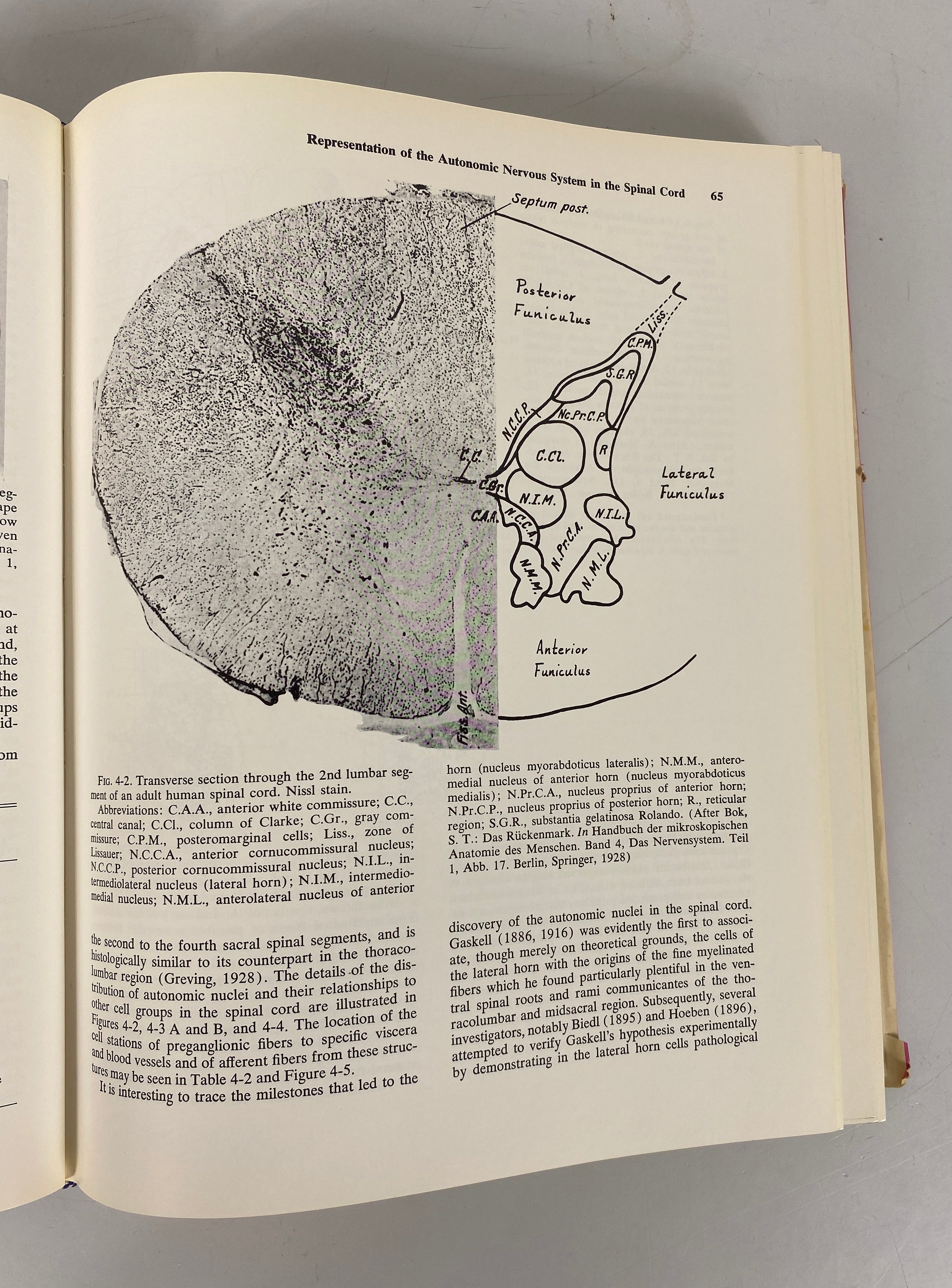 The Autonomic Nervous System Joseph Pick 1970 HCDJ