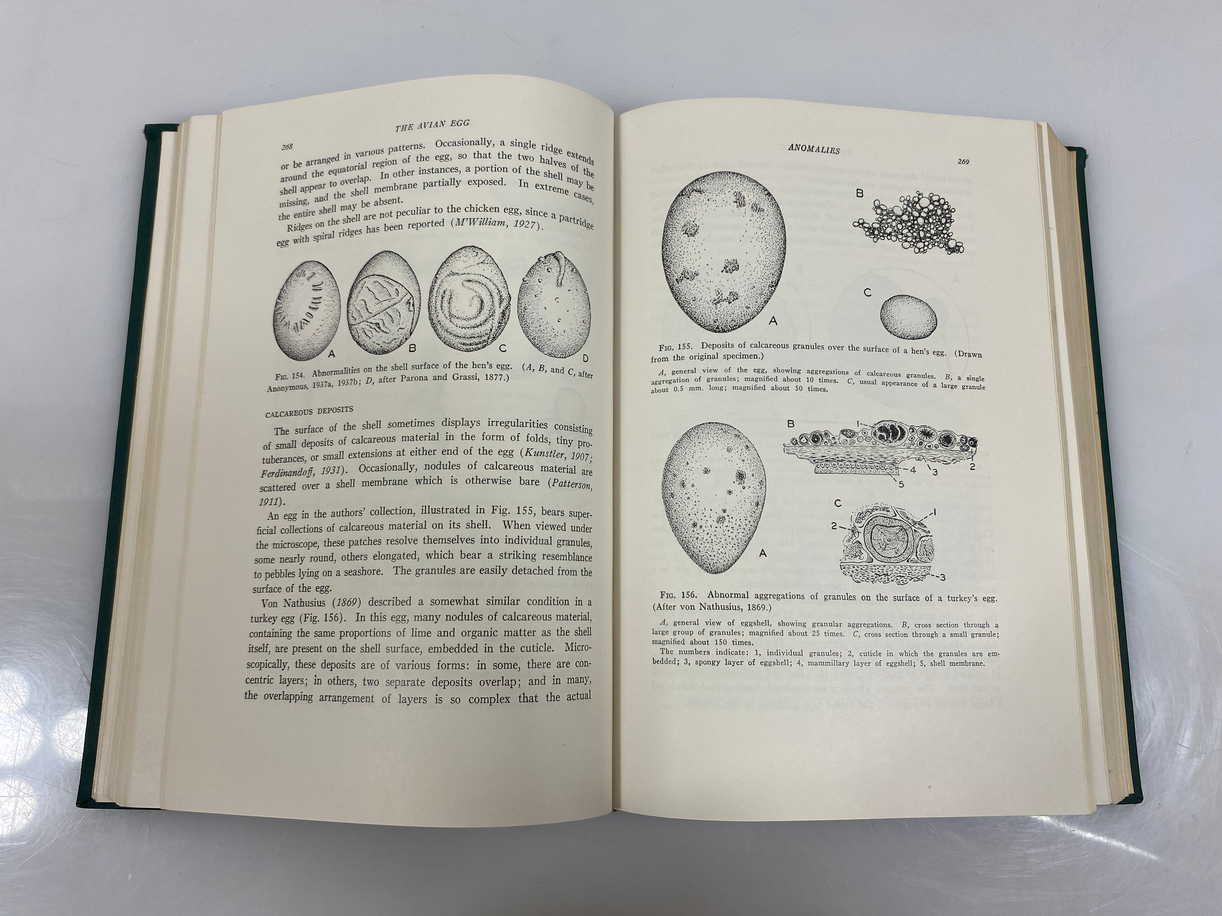 The Avian Egg by Romanoff/Romanoff Ex-library 1949 HC