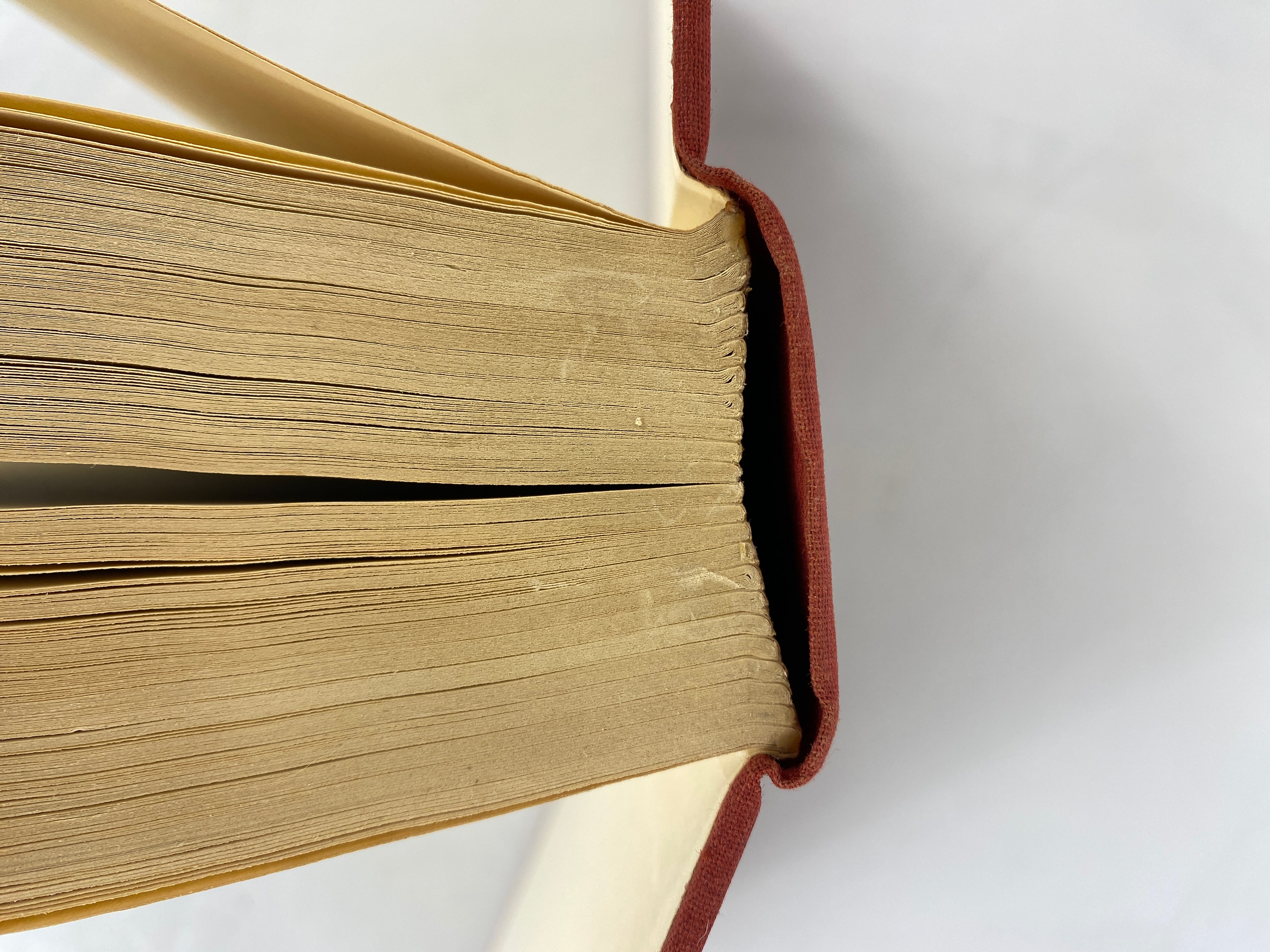 The Bastard a Novel by Brigitte von Tessin 1958 Vintage HC DJ