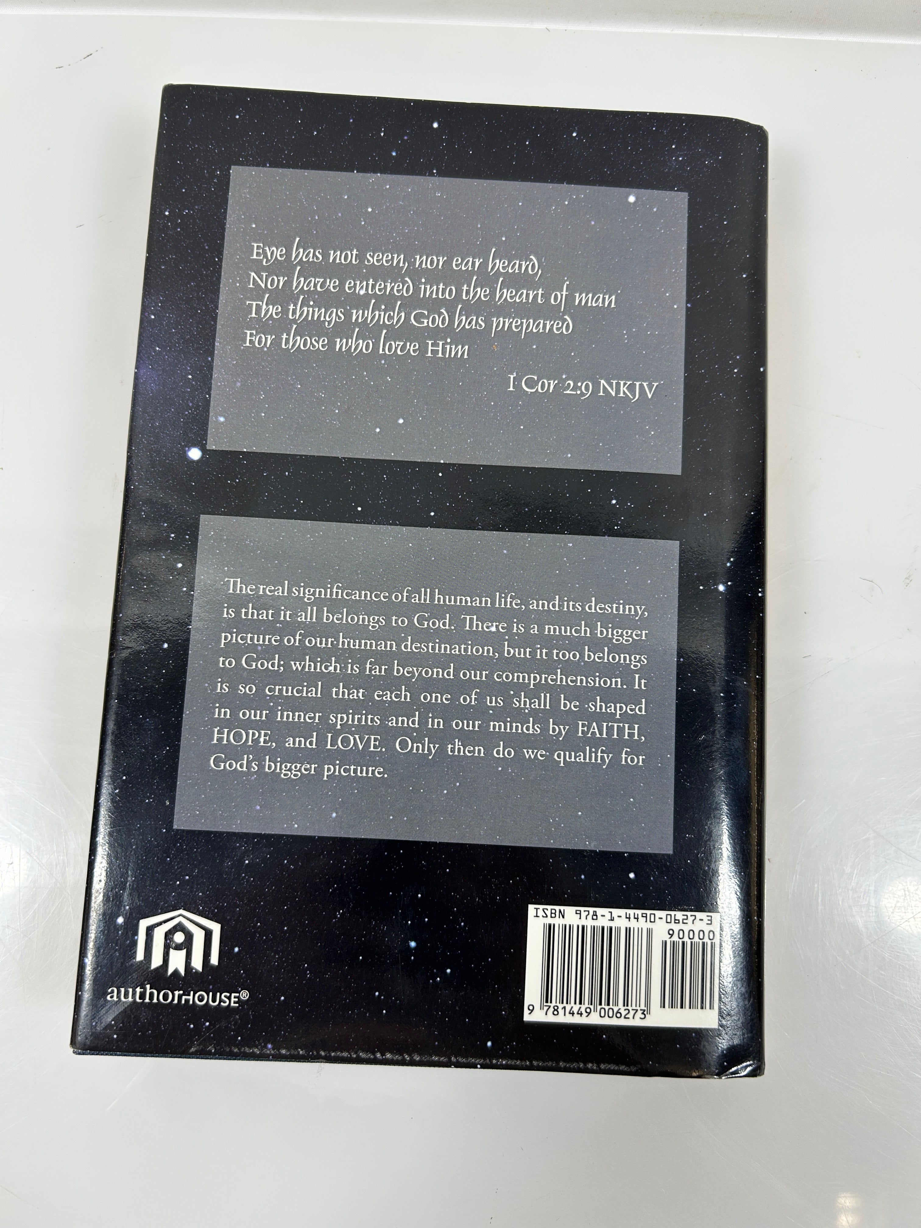 The Bigger Picture signed by Howard A Lyman with ephemera HCDJ