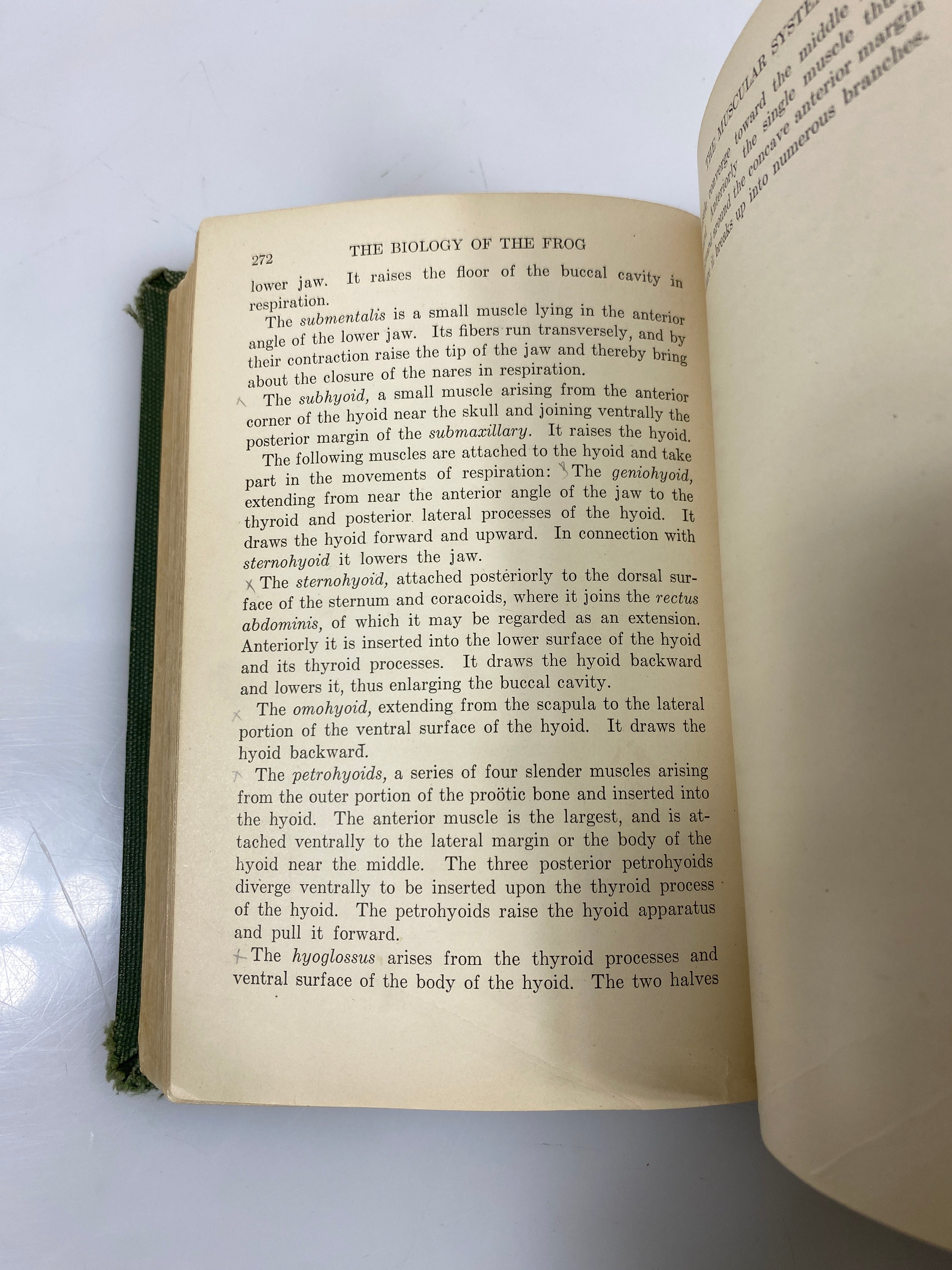The Biology of the Frog by Holmes 4th Ed. Ex-library 1927 HC