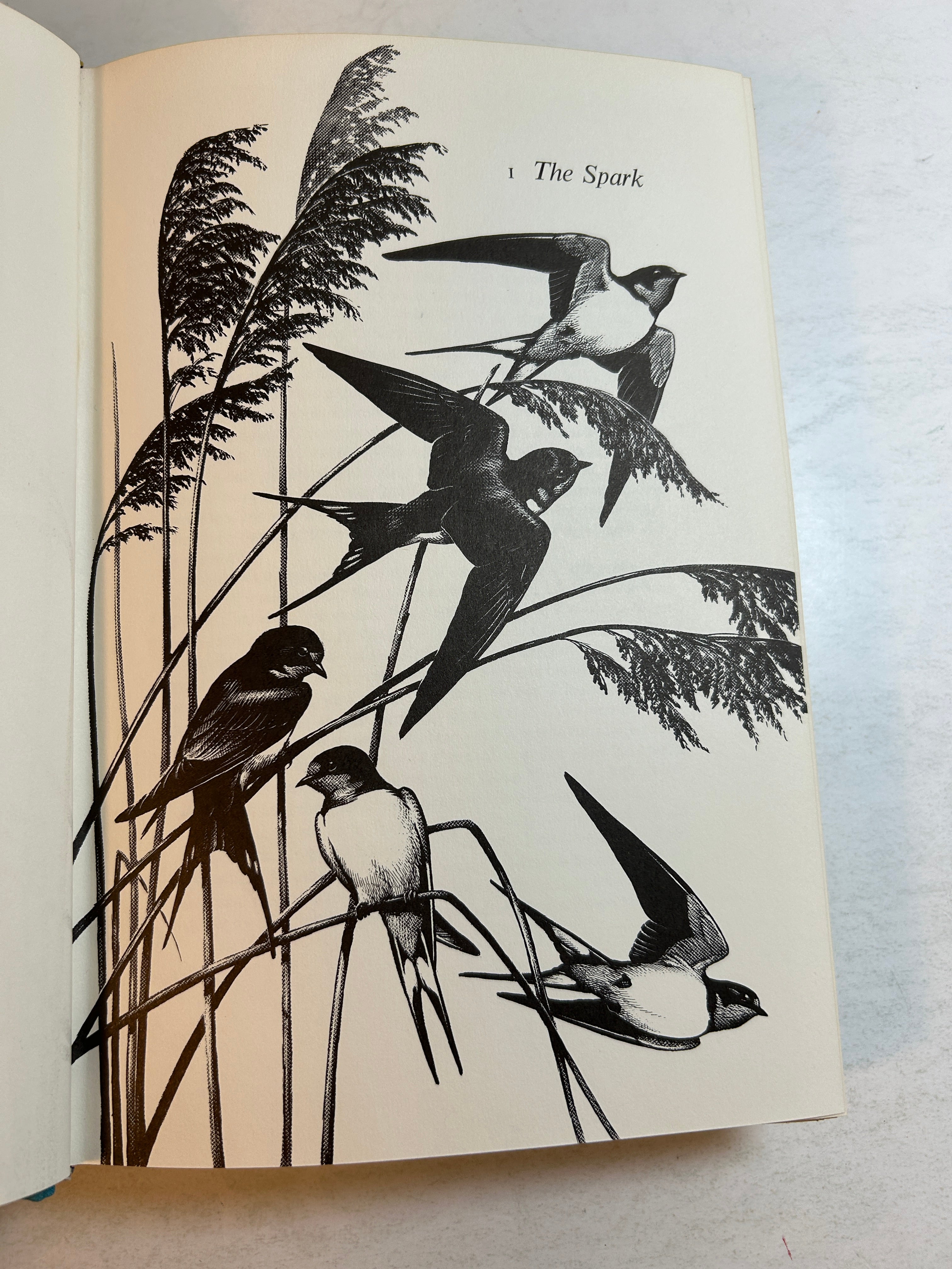The Bird Watcher's Anthology Roger Tory Peterson Harcourt, Brace & Co 1957 HCDJ