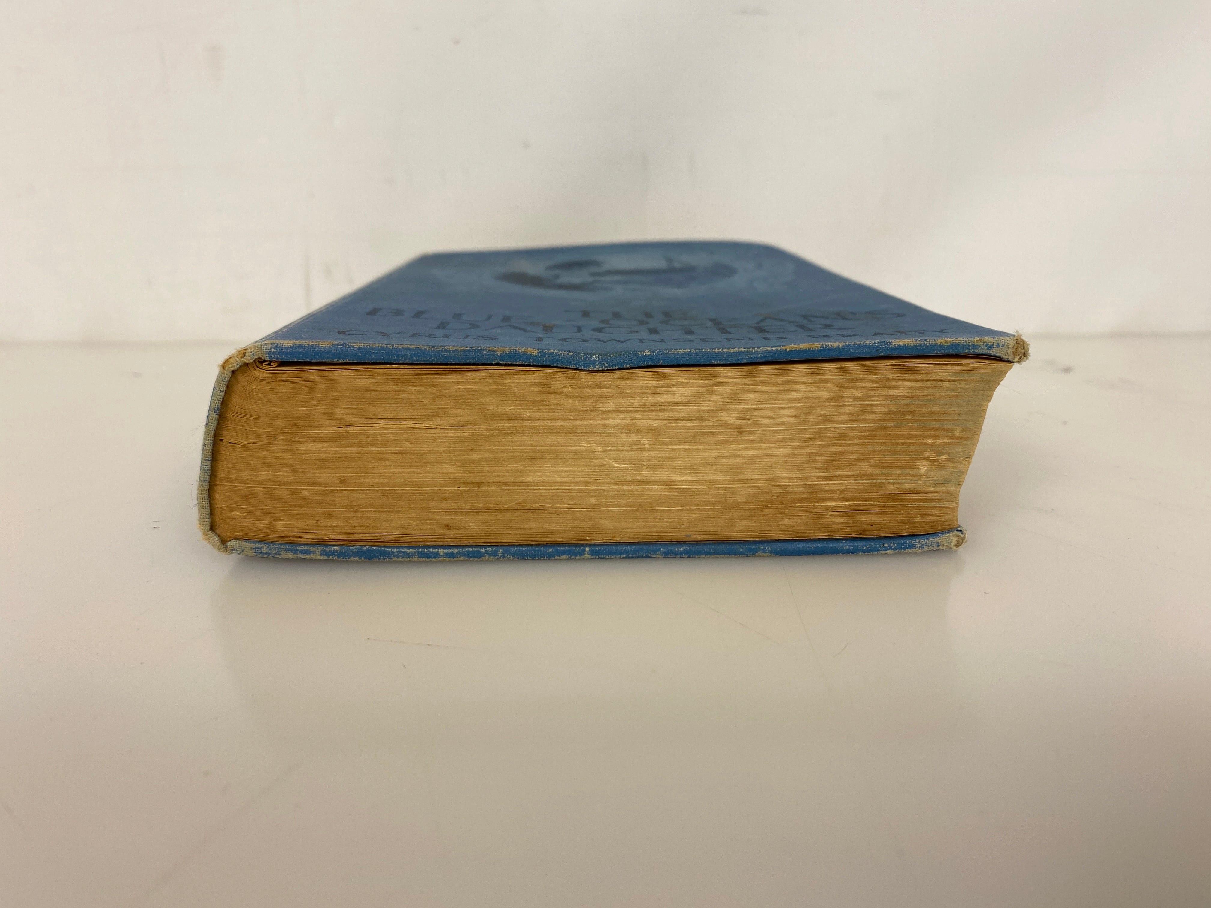 The Blue Ocean's Daughter by Cyrus Townsend Brady 1907 Antique HC