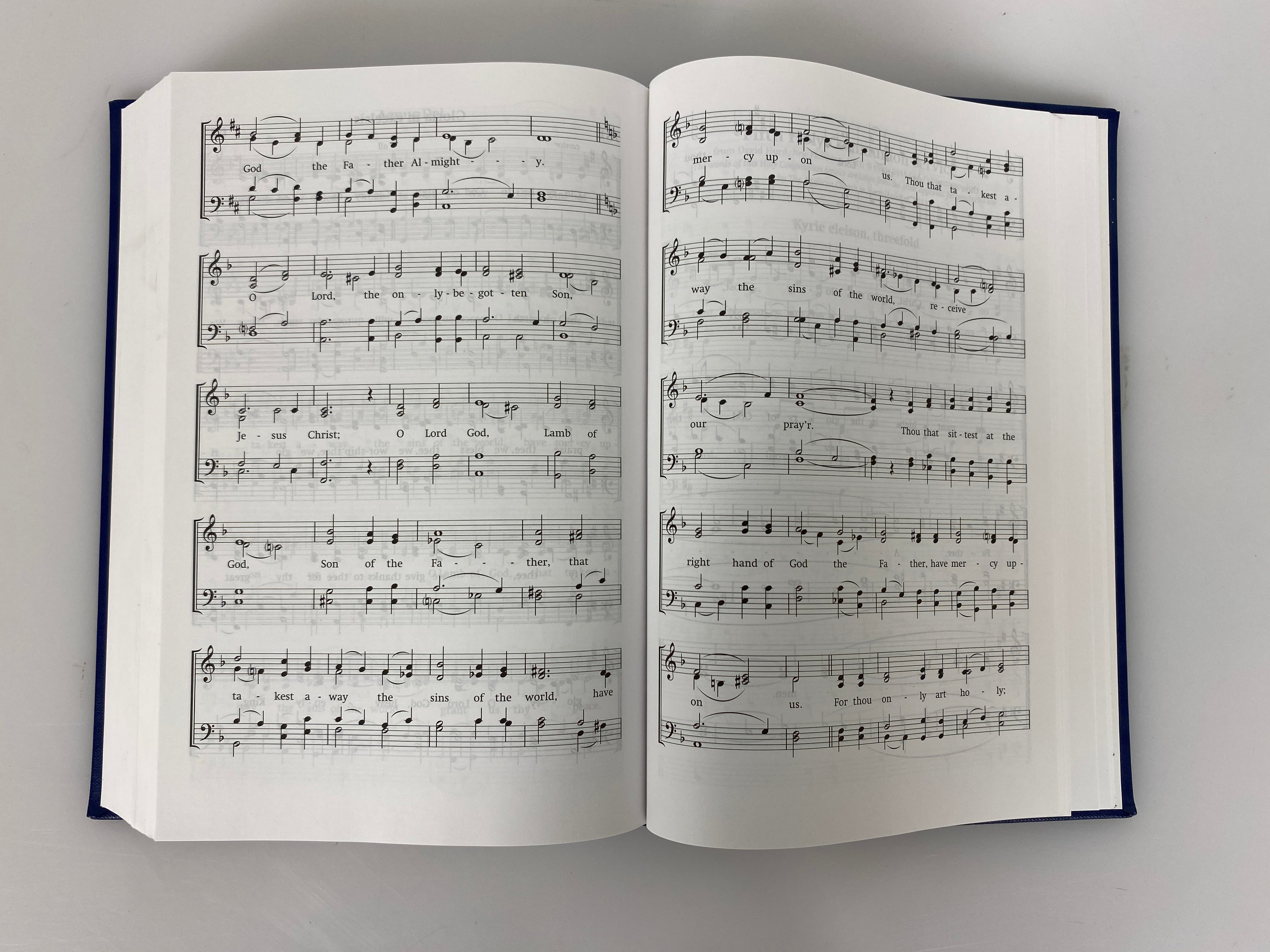 The Book of Common Praise of the Reformed Episcopal Church 2019 3rd Print HC