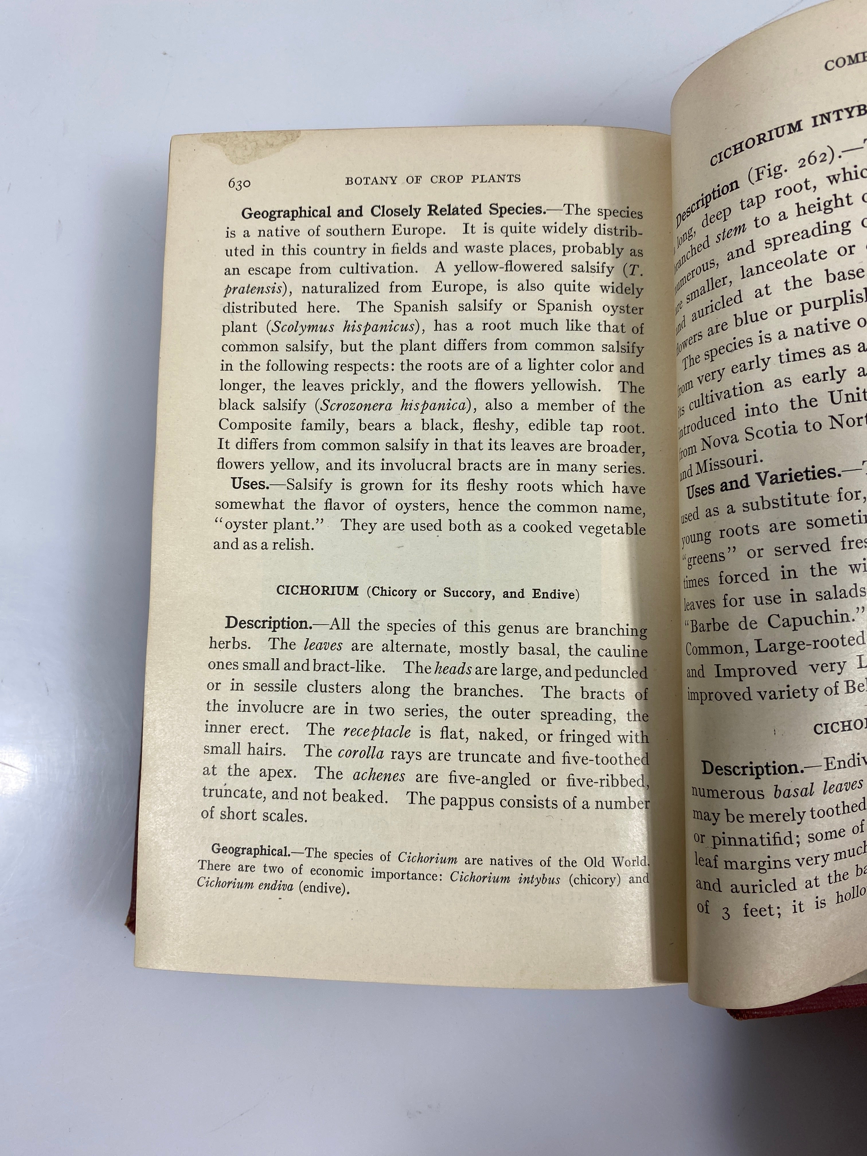 The Botany of Crop Plants by Robbins 2nd Edition 1924 Ex-Library HC