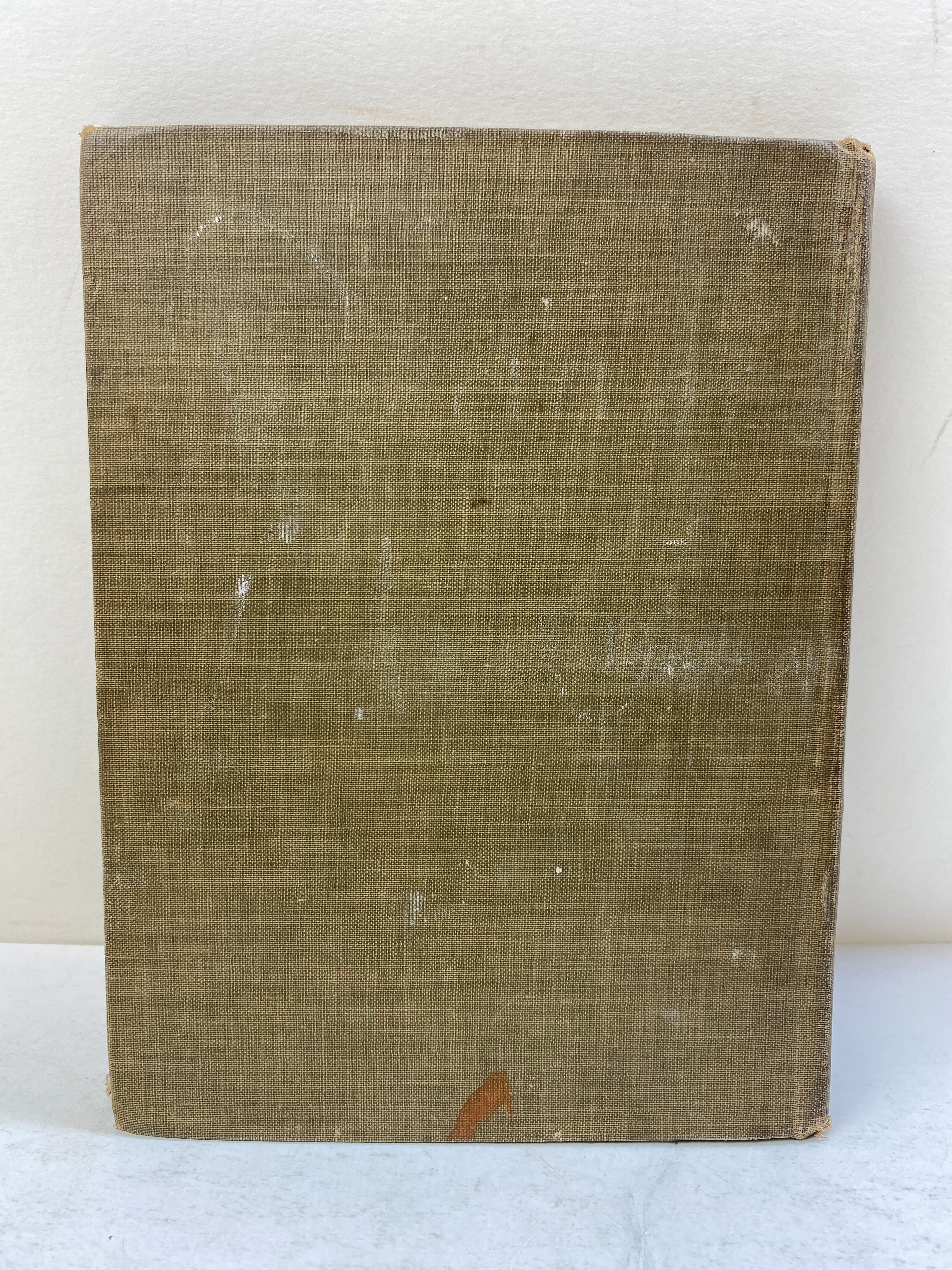 The Bunny Tots' Window Book by McCandlish 1928 HC