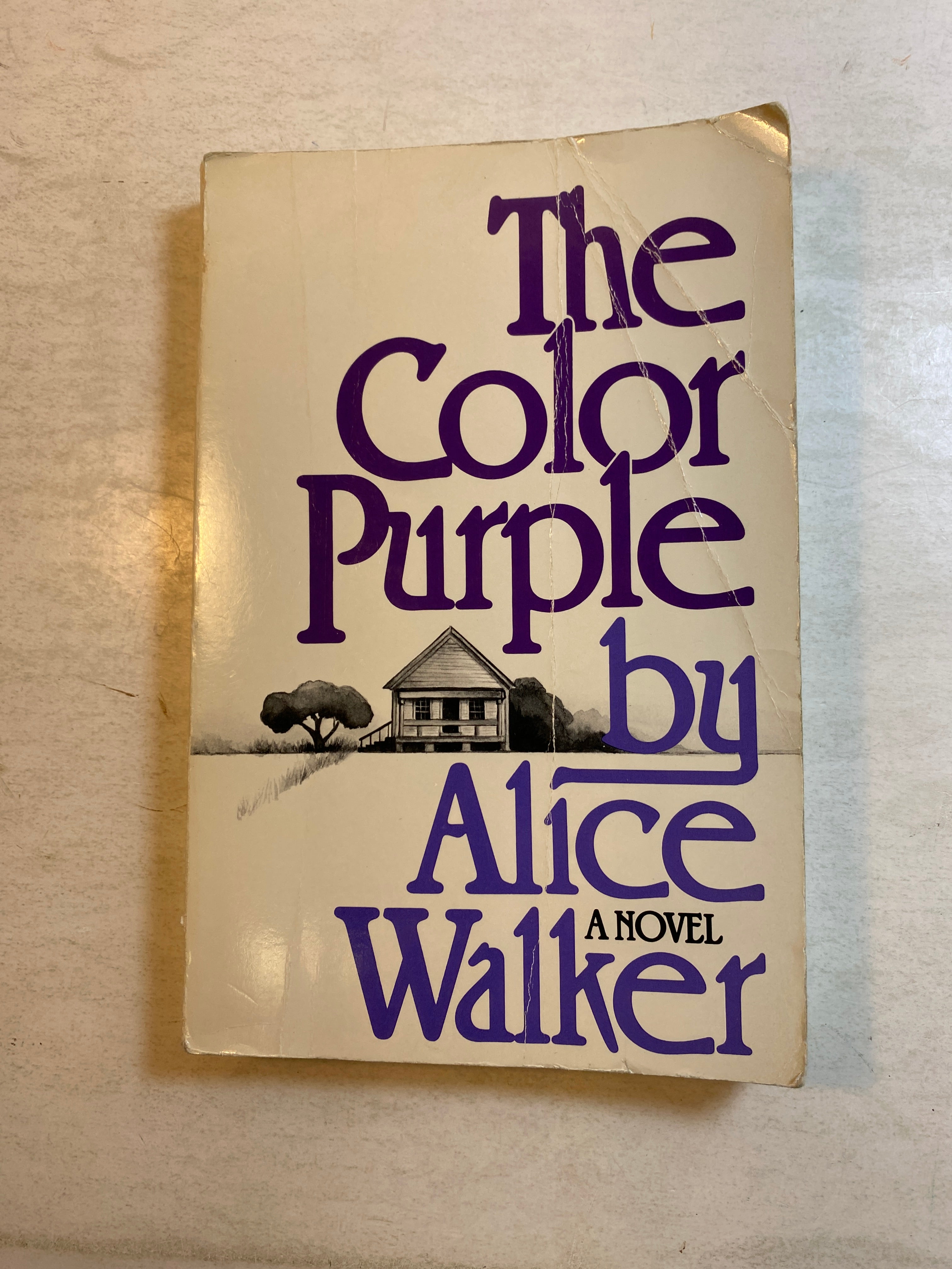 The Color Purple by Alice Walker SC 1982