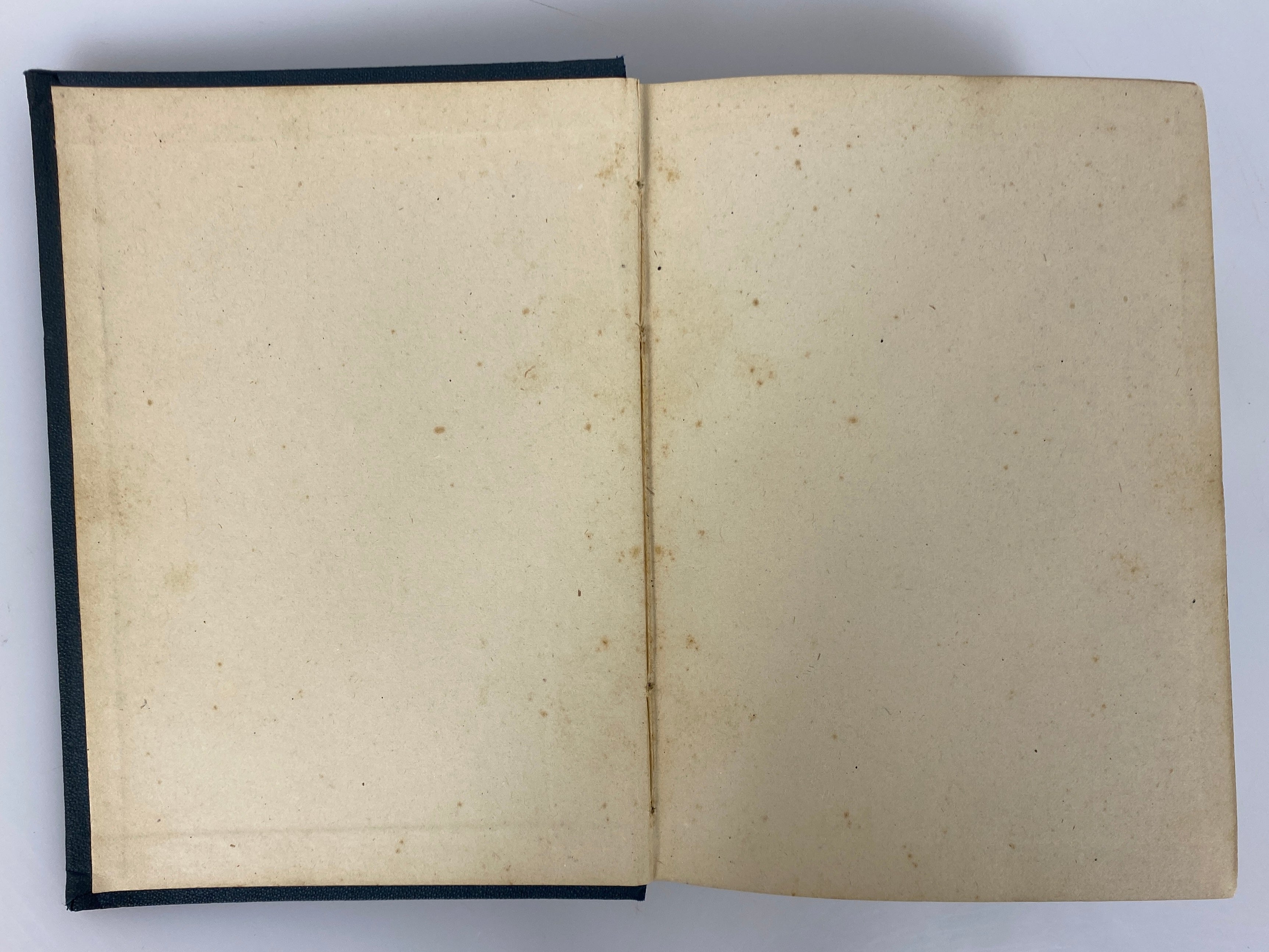 The Coming Woman by Eliza Barton Lyman 1880 Antique W.S. George & Co HC
