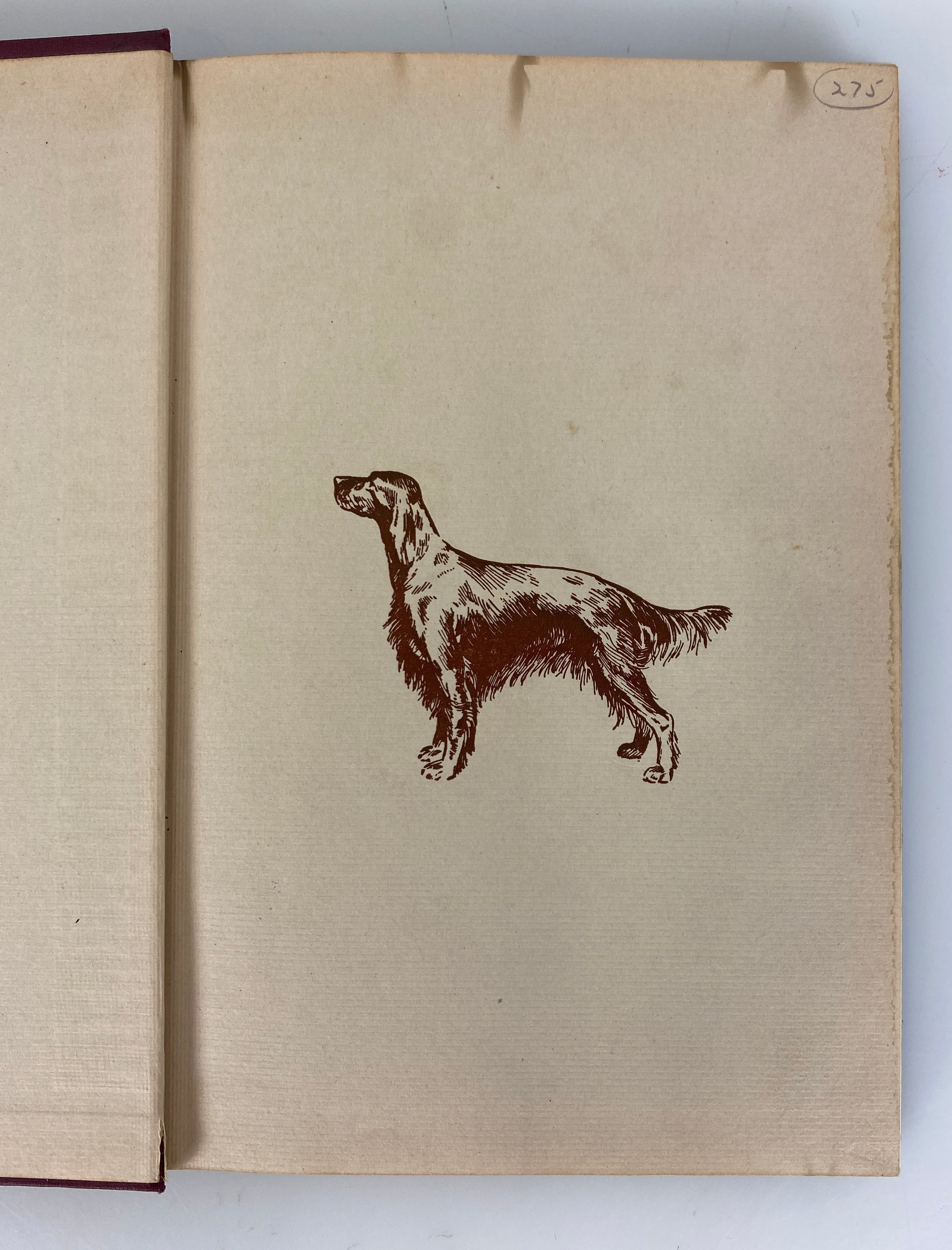 The Complete Irish Setter by Milo Denlinger 1949 Vintage HC