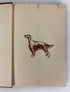 The Complete Irish Setter by Milo Denlinger 1949 Vintage HC