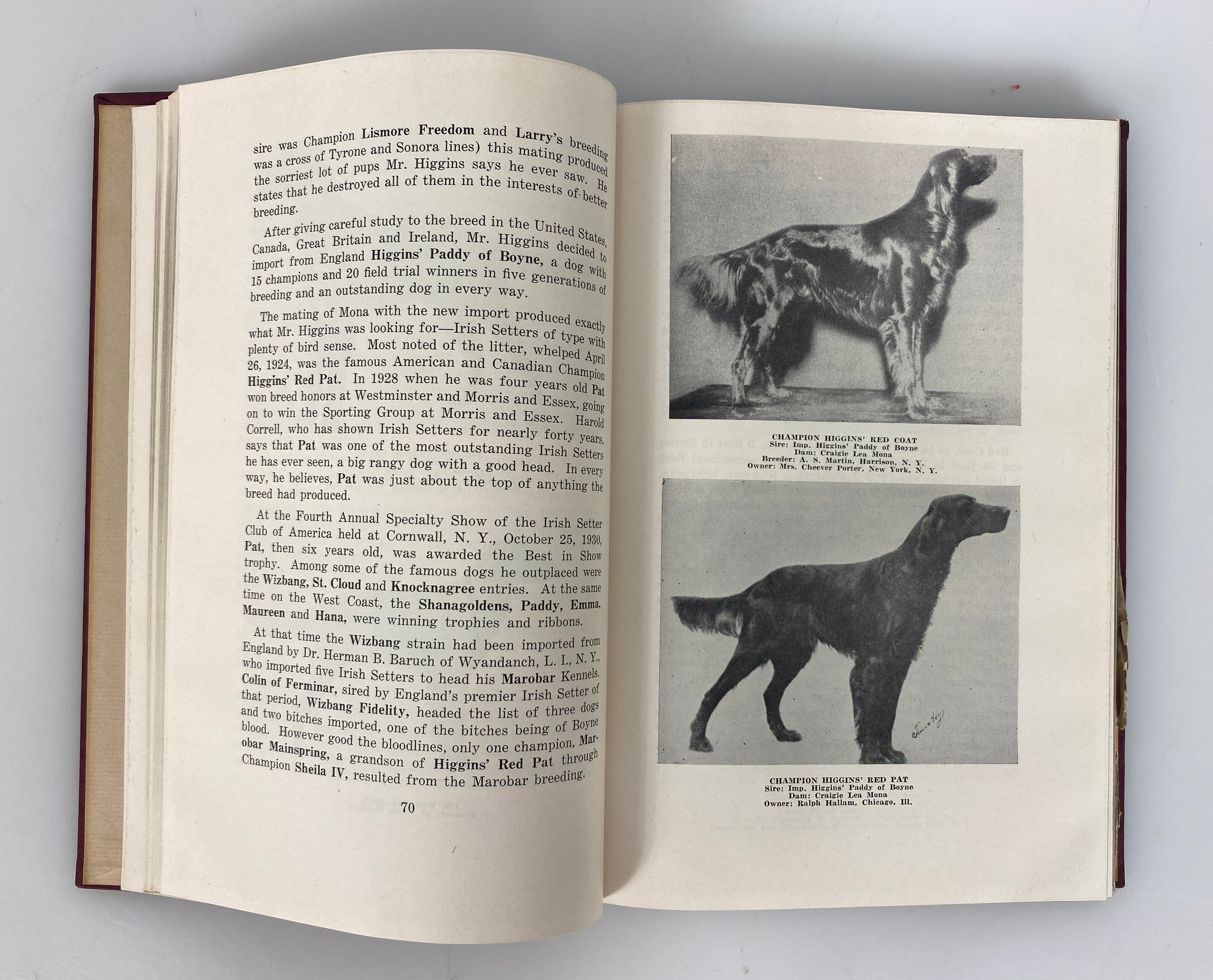 The Complete Irish Setter by Milo Denlinger 1949 Vintage HC