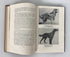 The Complete Irish Setter by Milo Denlinger 1949 Vintage HC