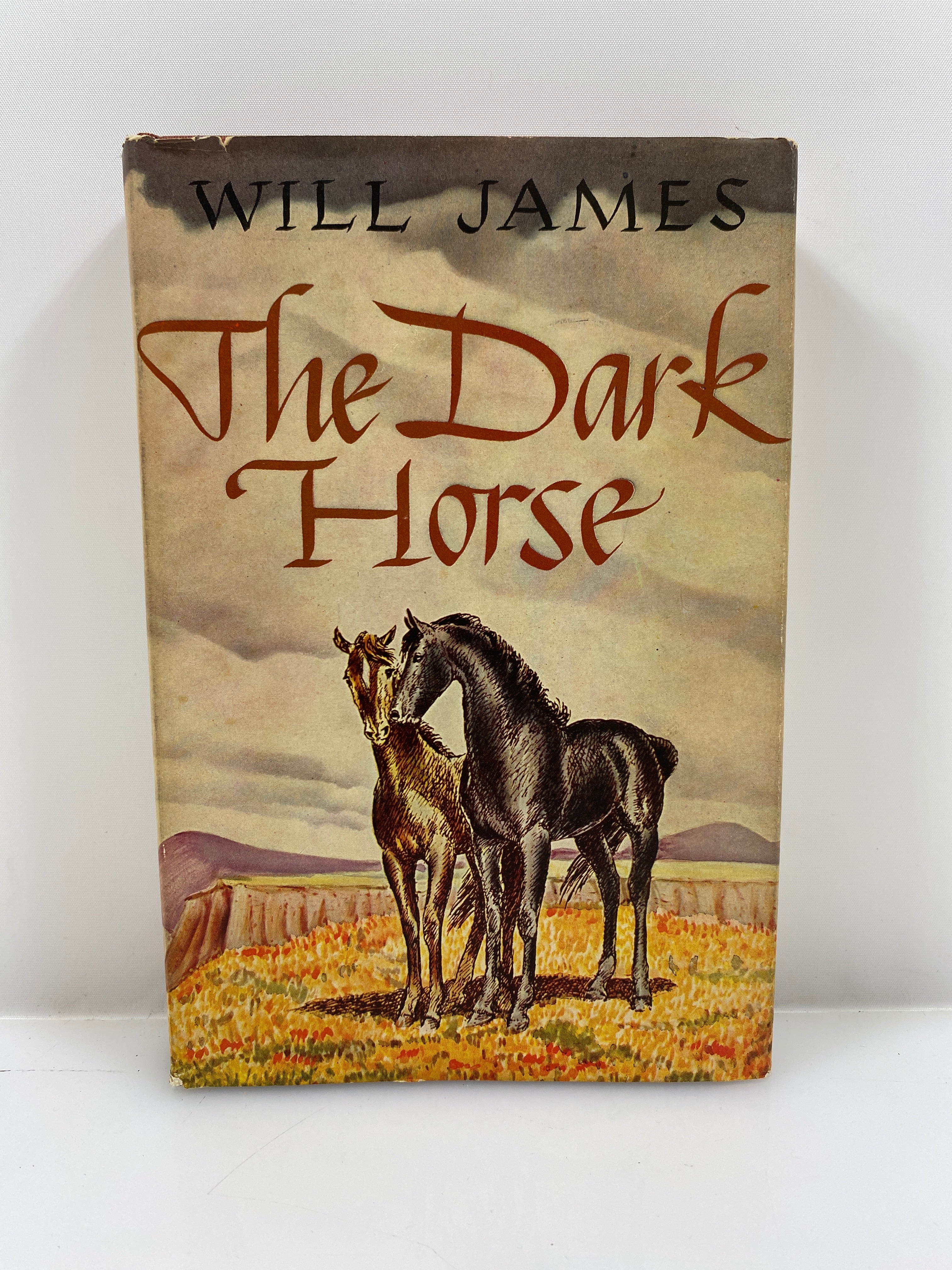 The Dark Horse by James 1939 HCDJ