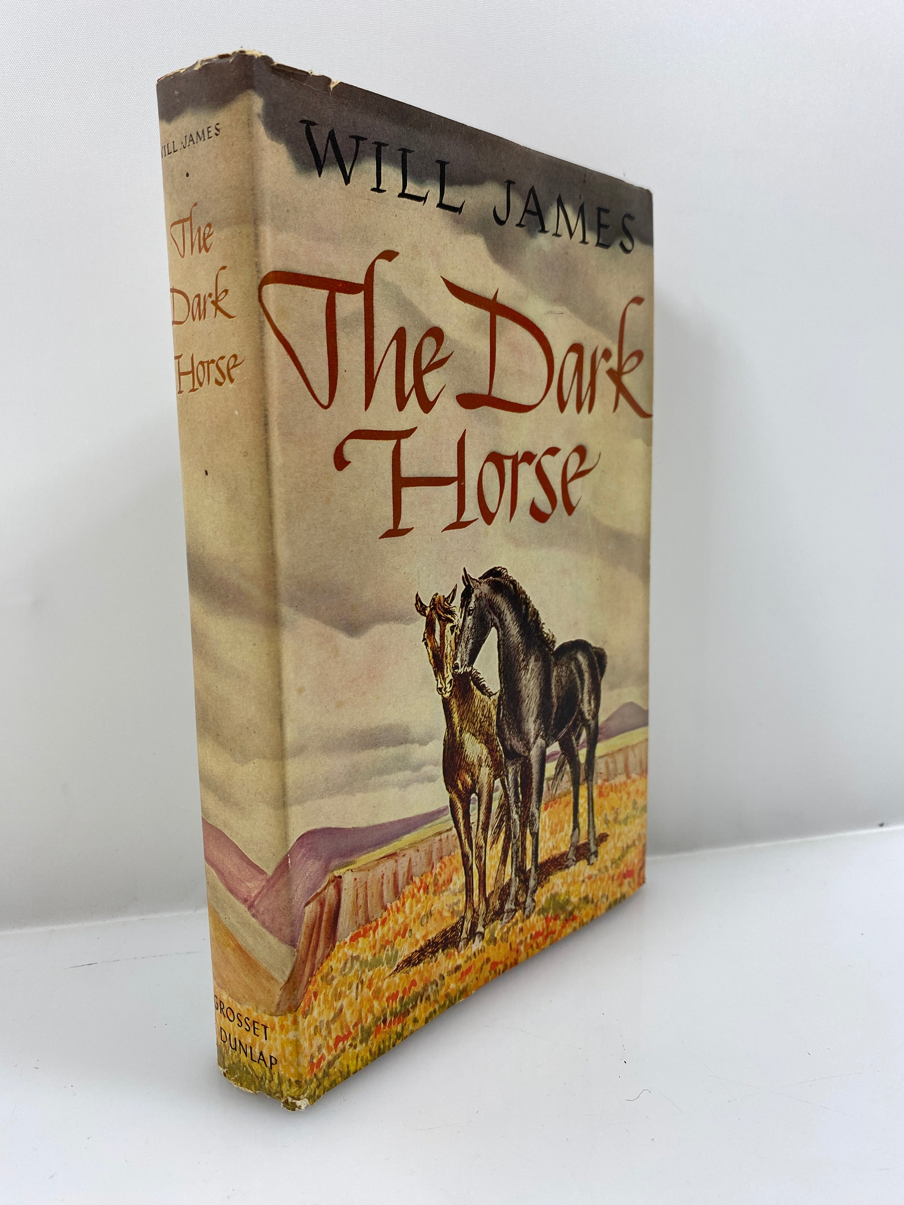 The Dark Horse by James 1939 HCDJ
