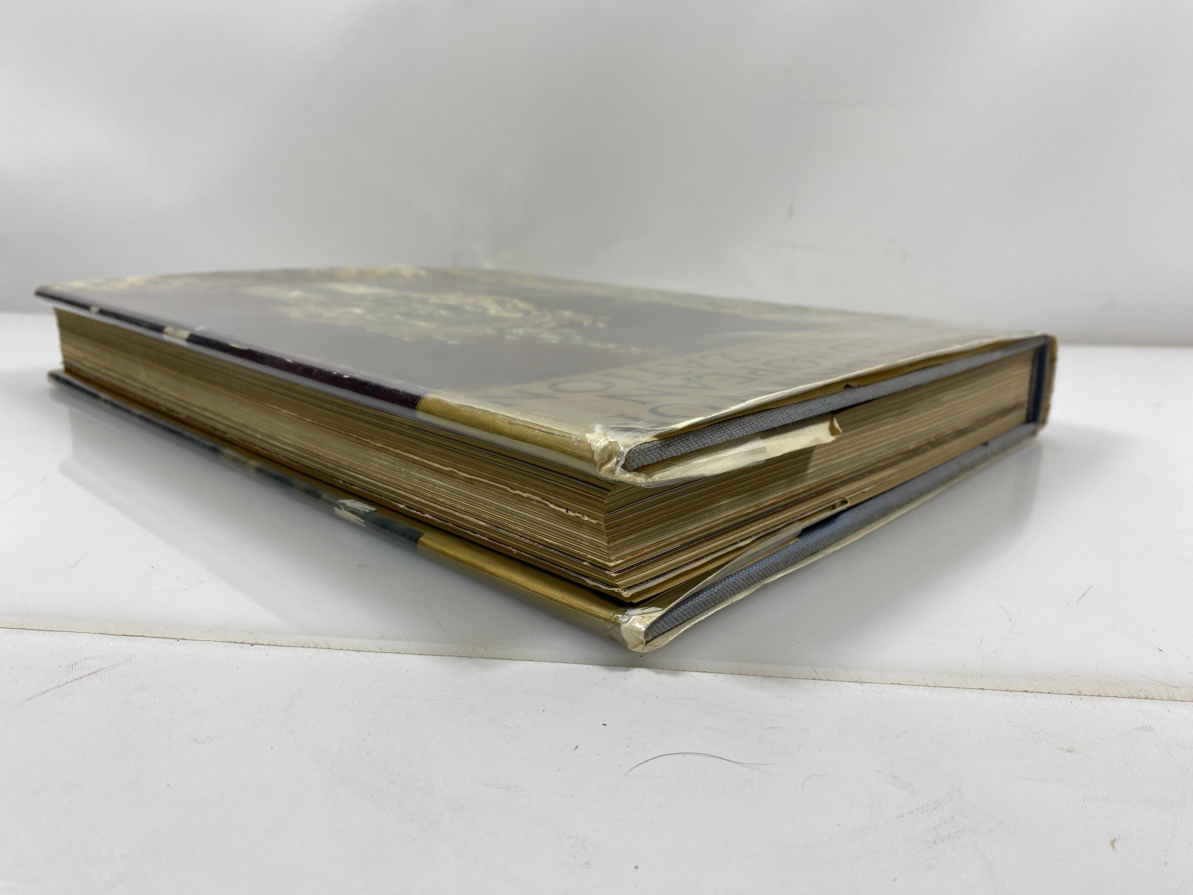 The Dawn of European Civilization: The Dark Ages McGraw-Hill 1966 HCDJ