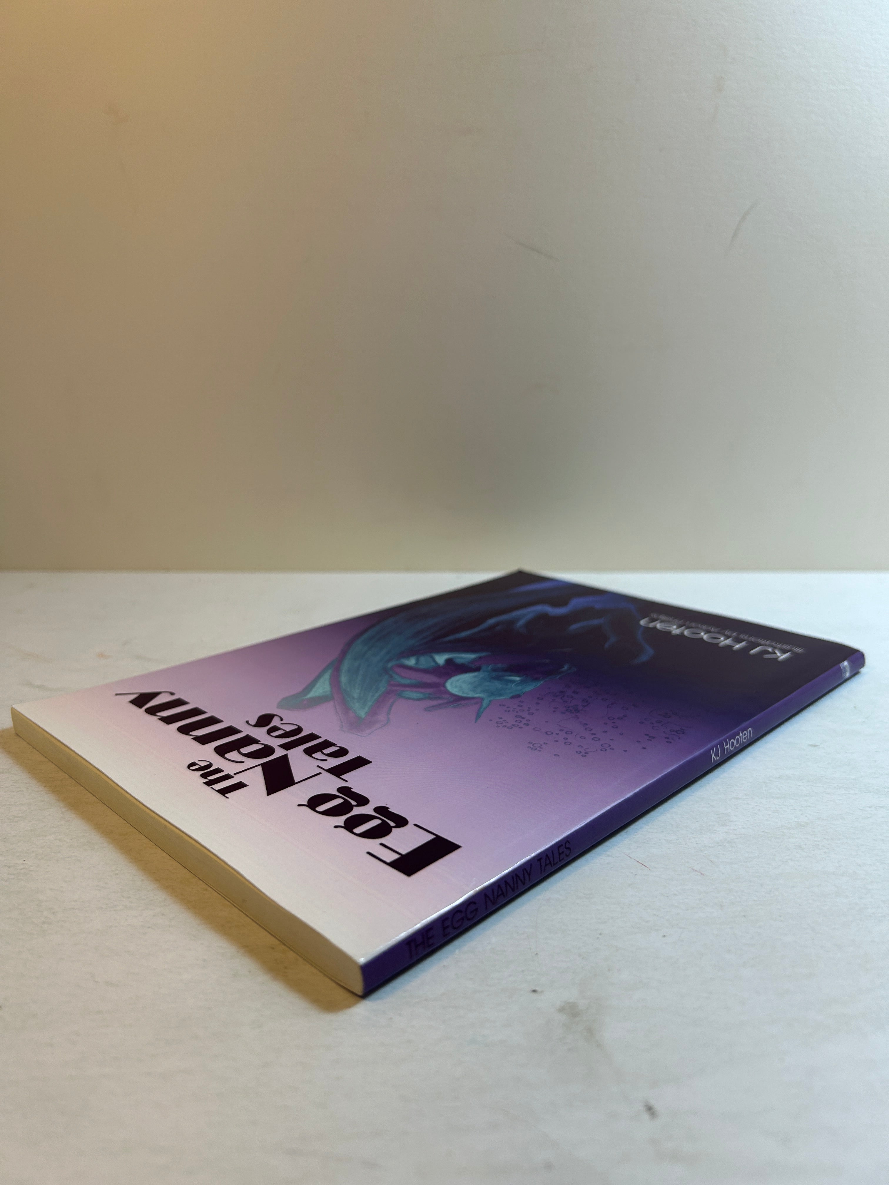 The Egg Nanny Tales: A Dragon Fantasy for Children by KJ Hooten 1st Print *signed*