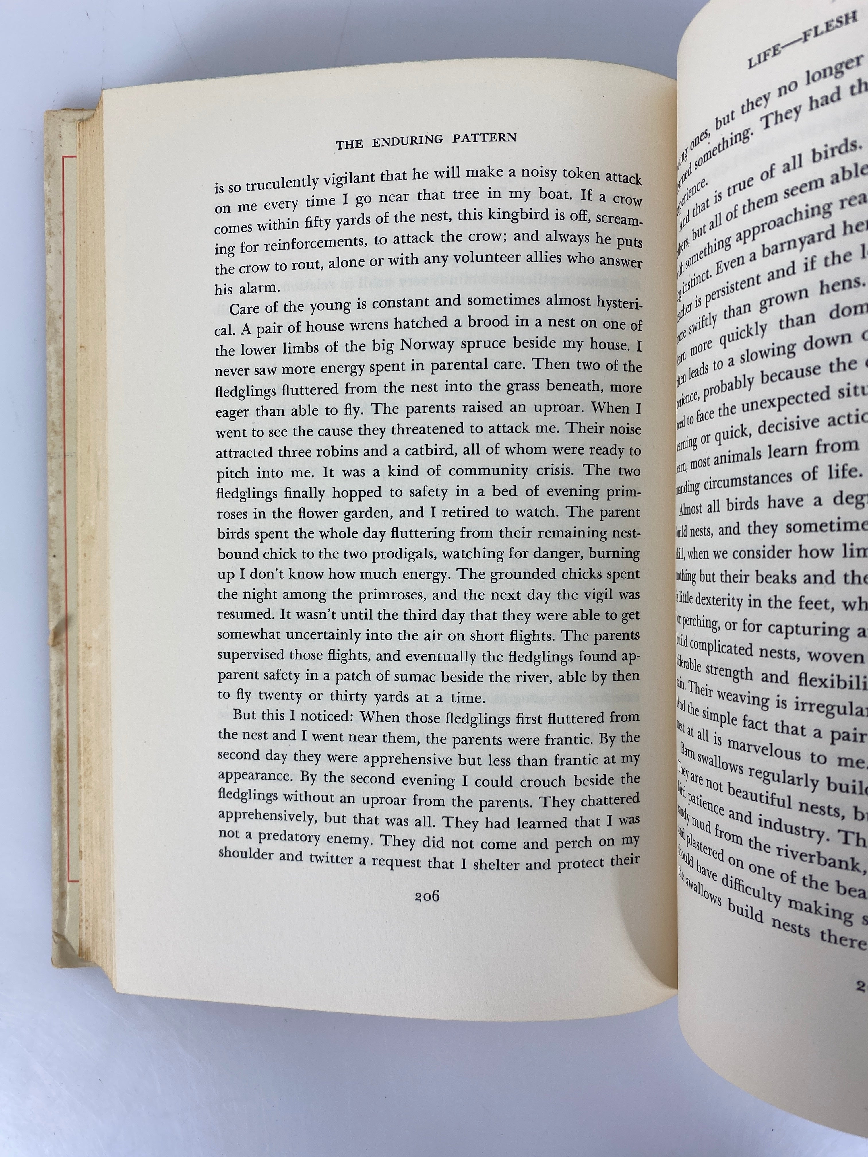 The Enduring Pattern by Hal Borland 1959 First Printing HC DJ