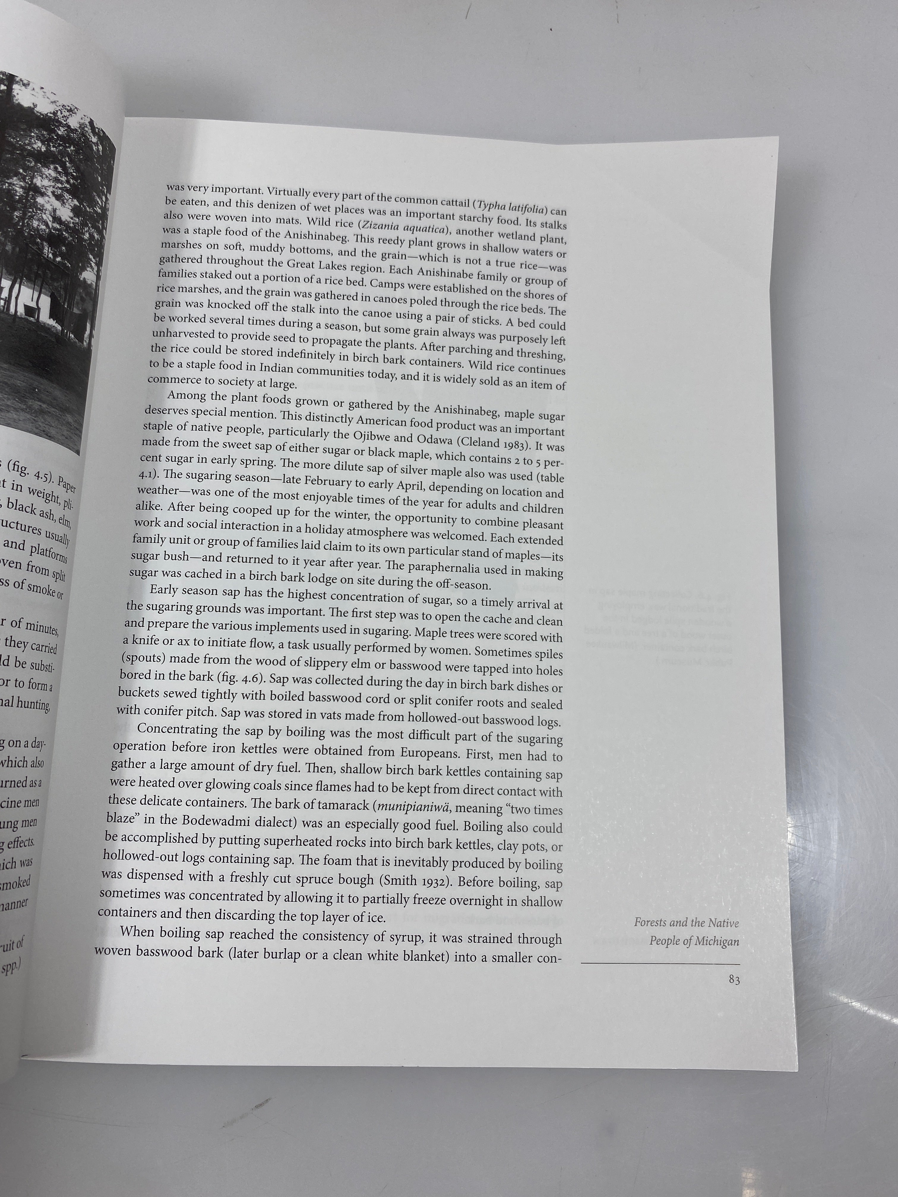 The Forests of Michigan by Dickmann and Leefers 2019 SC