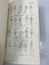 The Genitalia of the Group Noctuidae by Pierce Ex-library 1942 HC