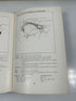 The Head, Neck and Trunk by Daniel P Quiring Lea & Febiger 1947 HC