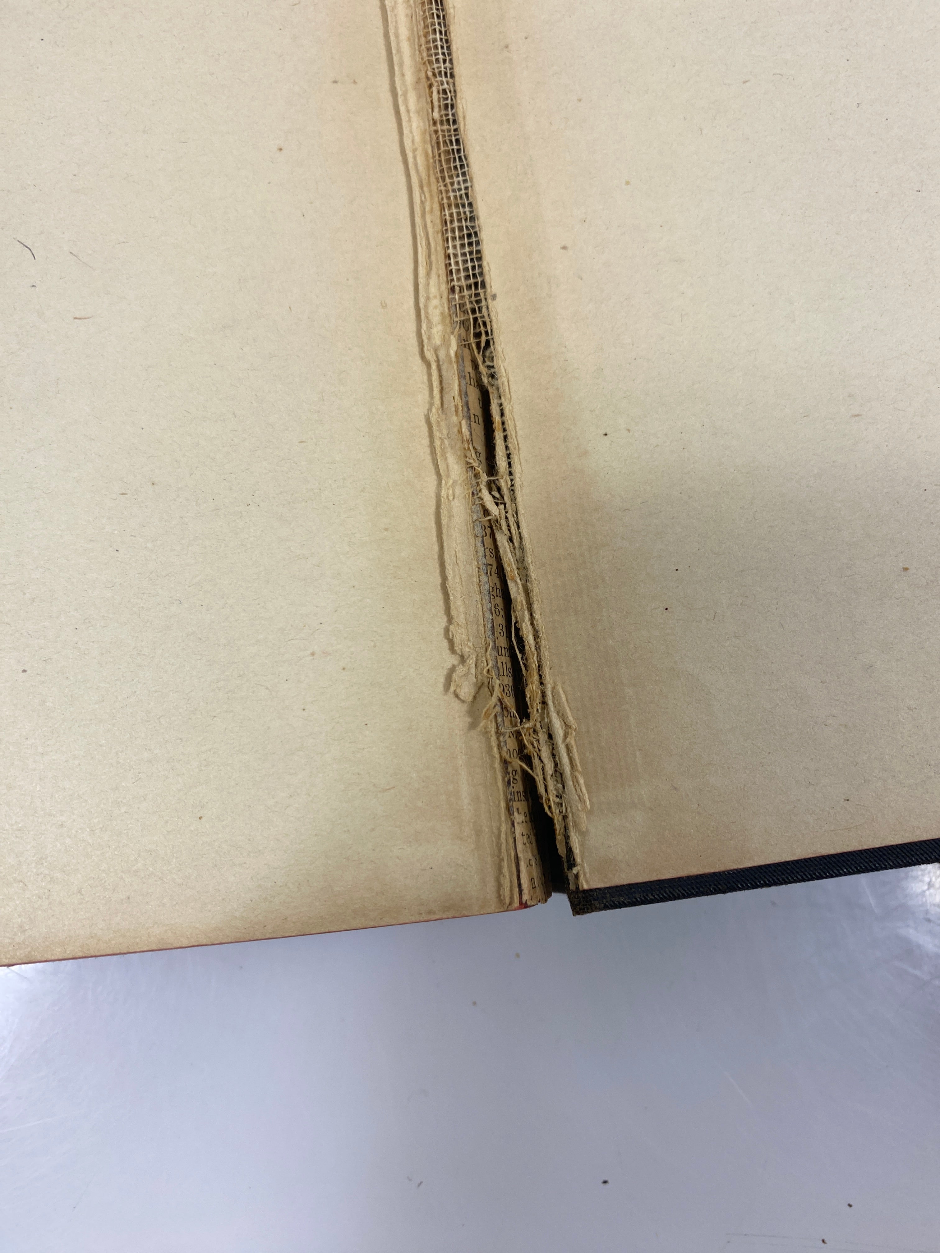 The Holy Bible Standard Edition Thomas Nelson & Sons 1901 HC