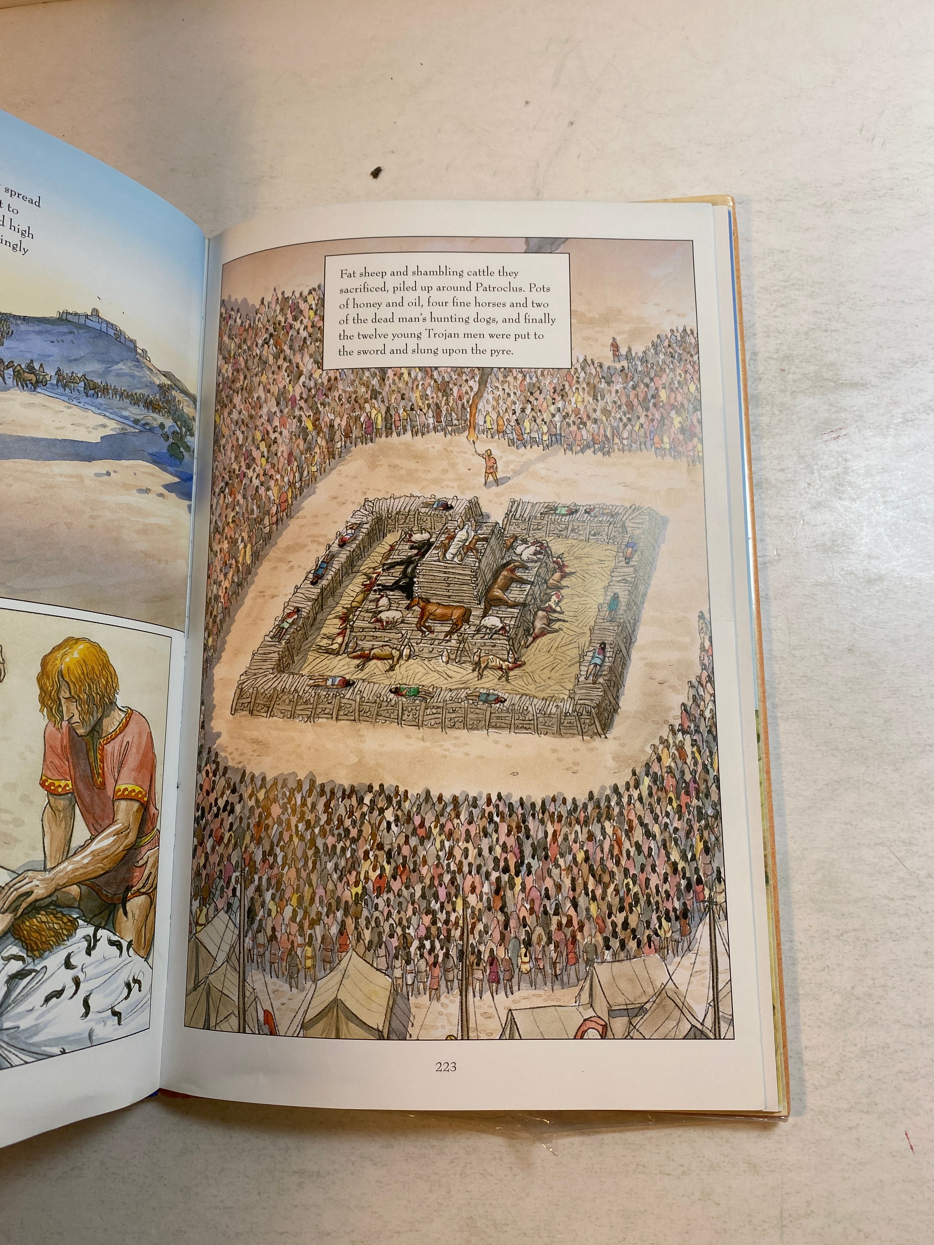 The Iliad Gareth Hinds Graphic Novel HCDJ 2019 Ex Lib