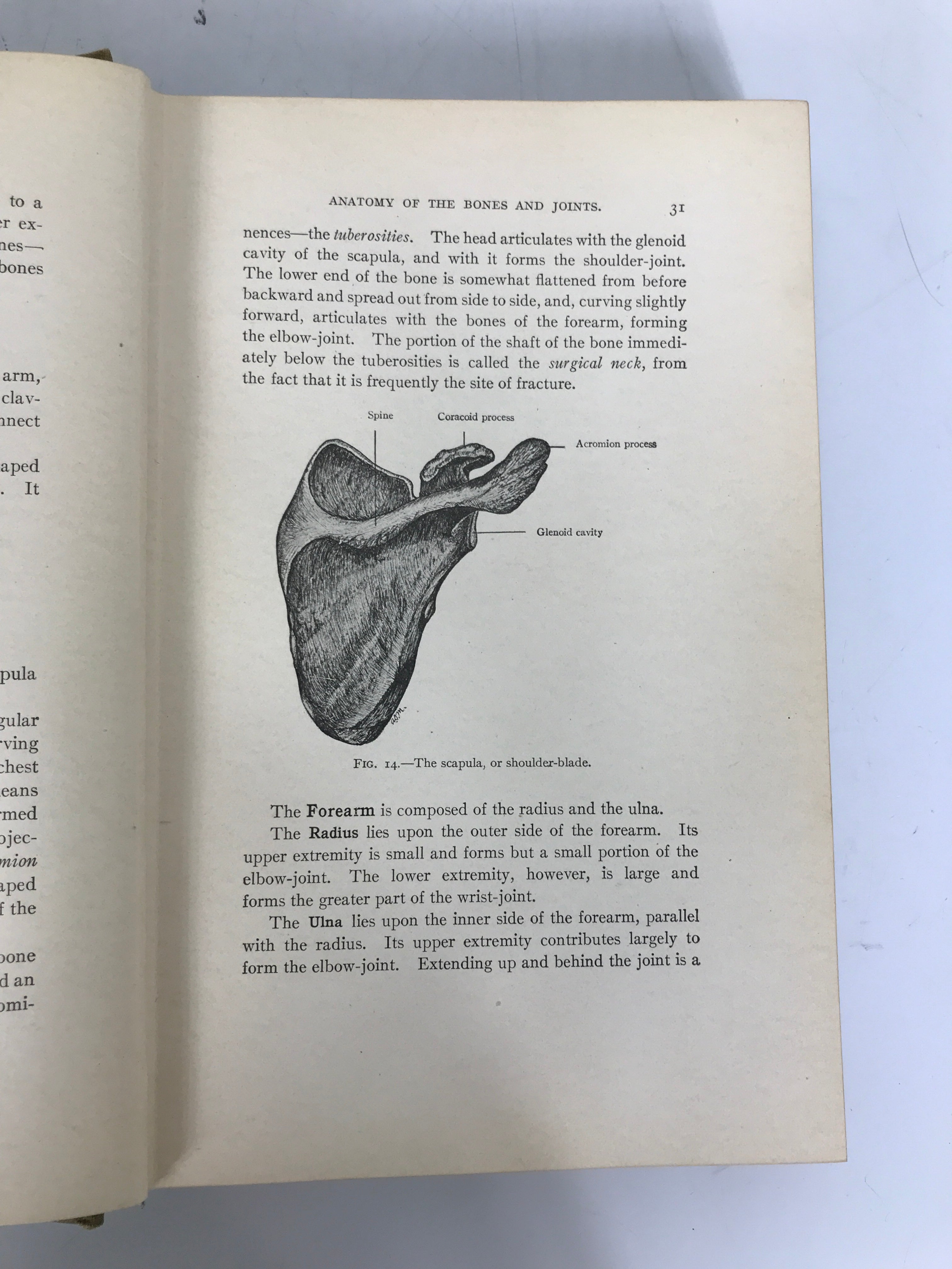 The Immediate Care of the Injured Albert Morrow 1918 Antique HC