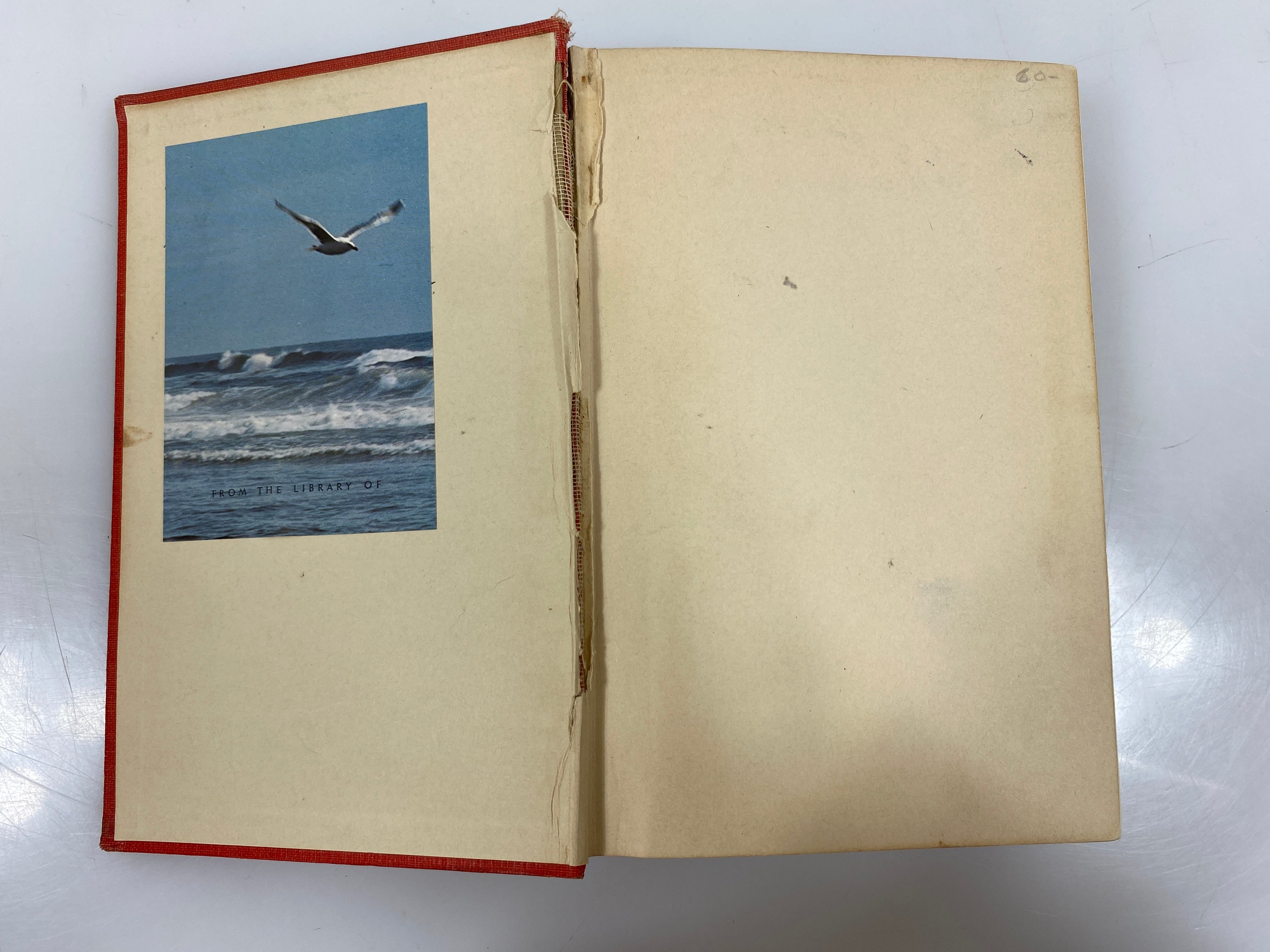 The Innocents Abroad by Mark Twain 1911 HC