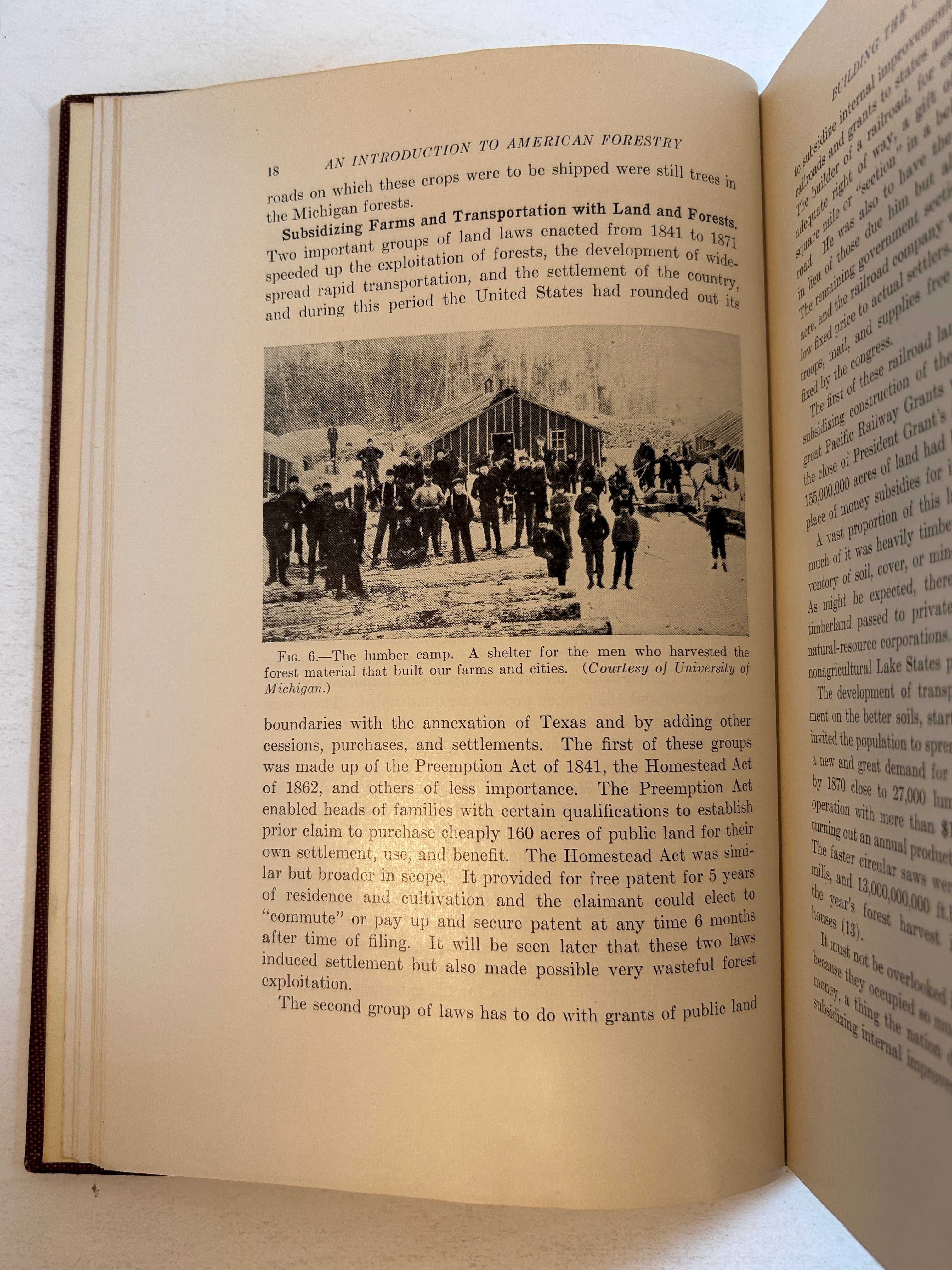 The Introduction to American Forestry by Shirley Walter Allen 2nd Ed 1950 HC