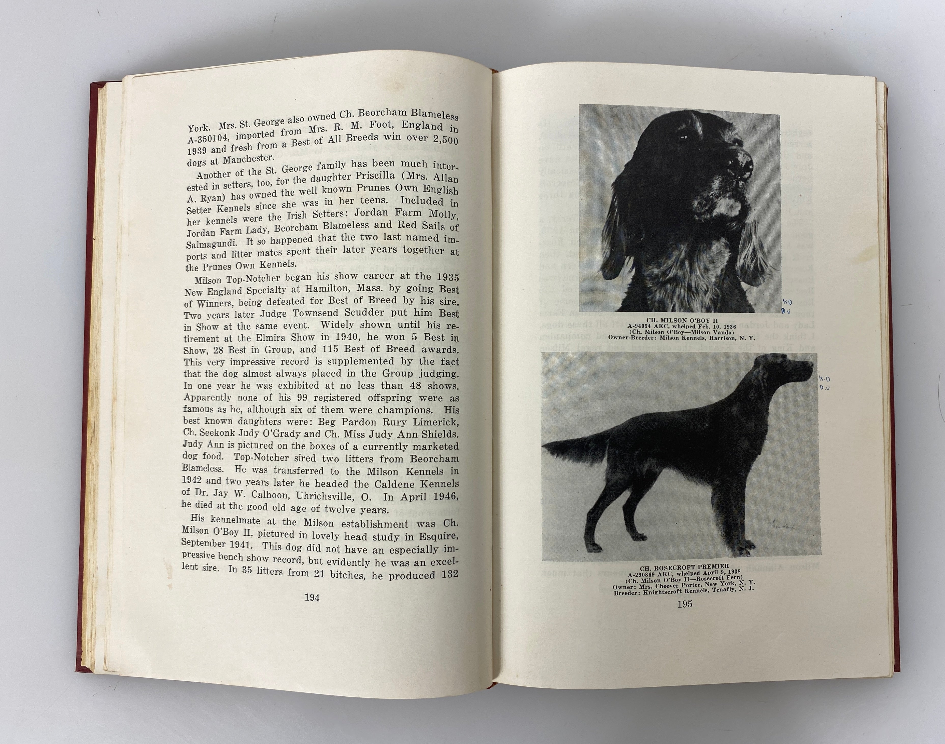 The Irish Setter in Word and Picture by Thompson 1954 Denlinger's 1st Ed HC