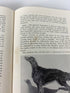The Irish Setter in Word and Picture by Thompson 1954 Denlinger's 1st Ed HC