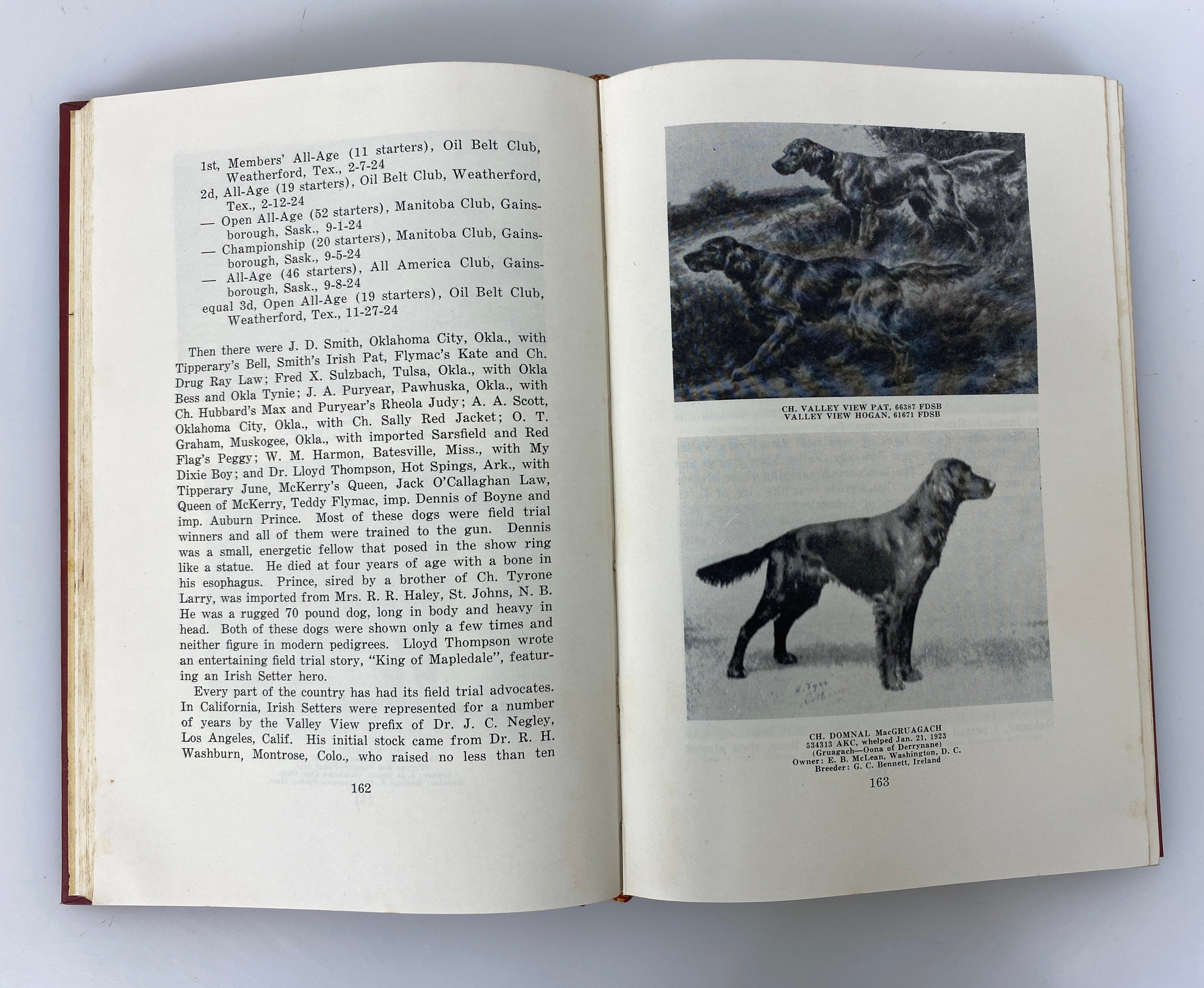 The Irish Setter in Word and Picture by Thompson 1954 Denlinger's 1st Ed HC