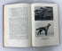 The Irish Setter in Word and Picture by Thompson 1954 Denlinger's 1st Ed HC