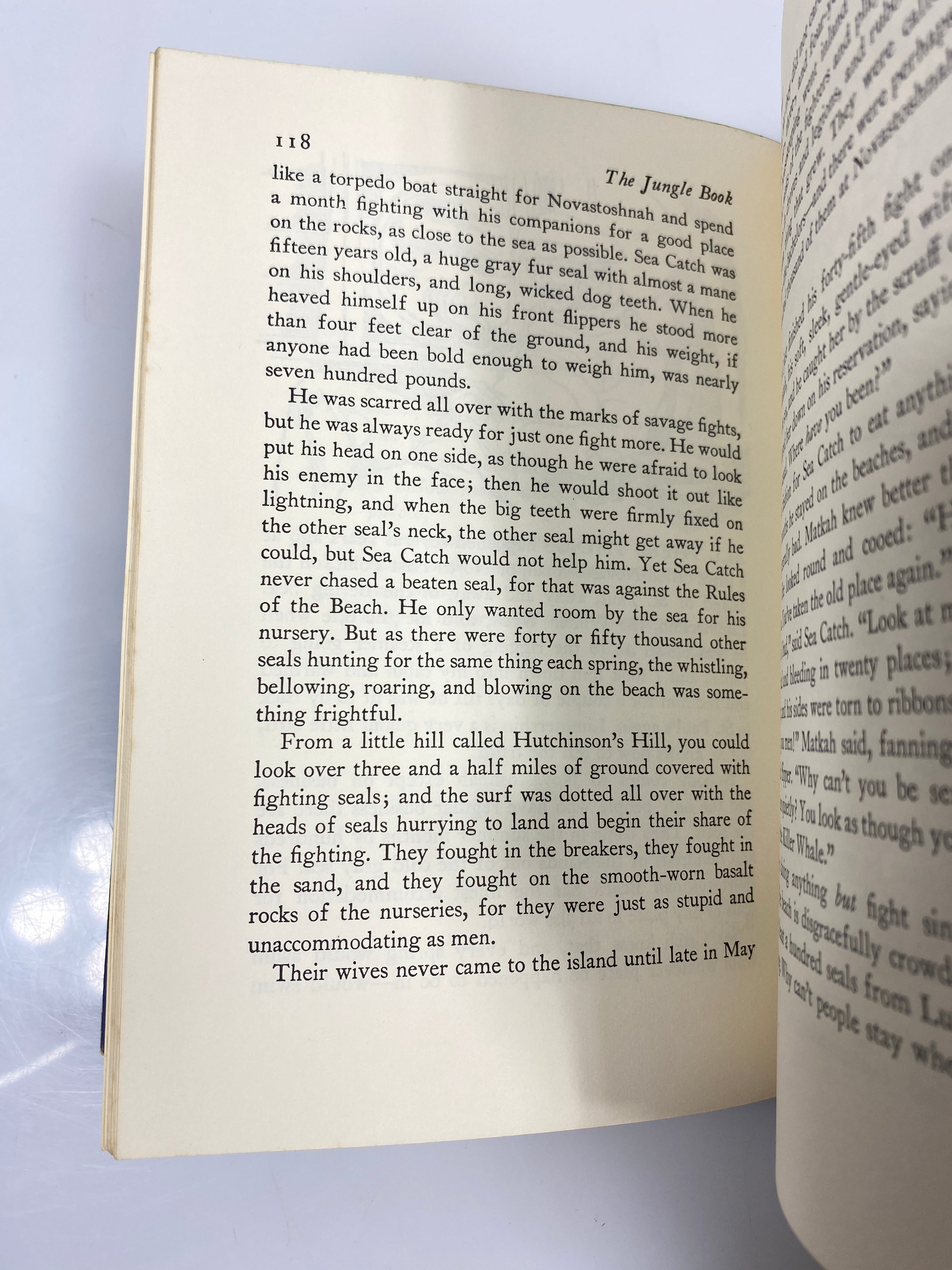 The Jungle Book by Kipling 1979 HCDJ