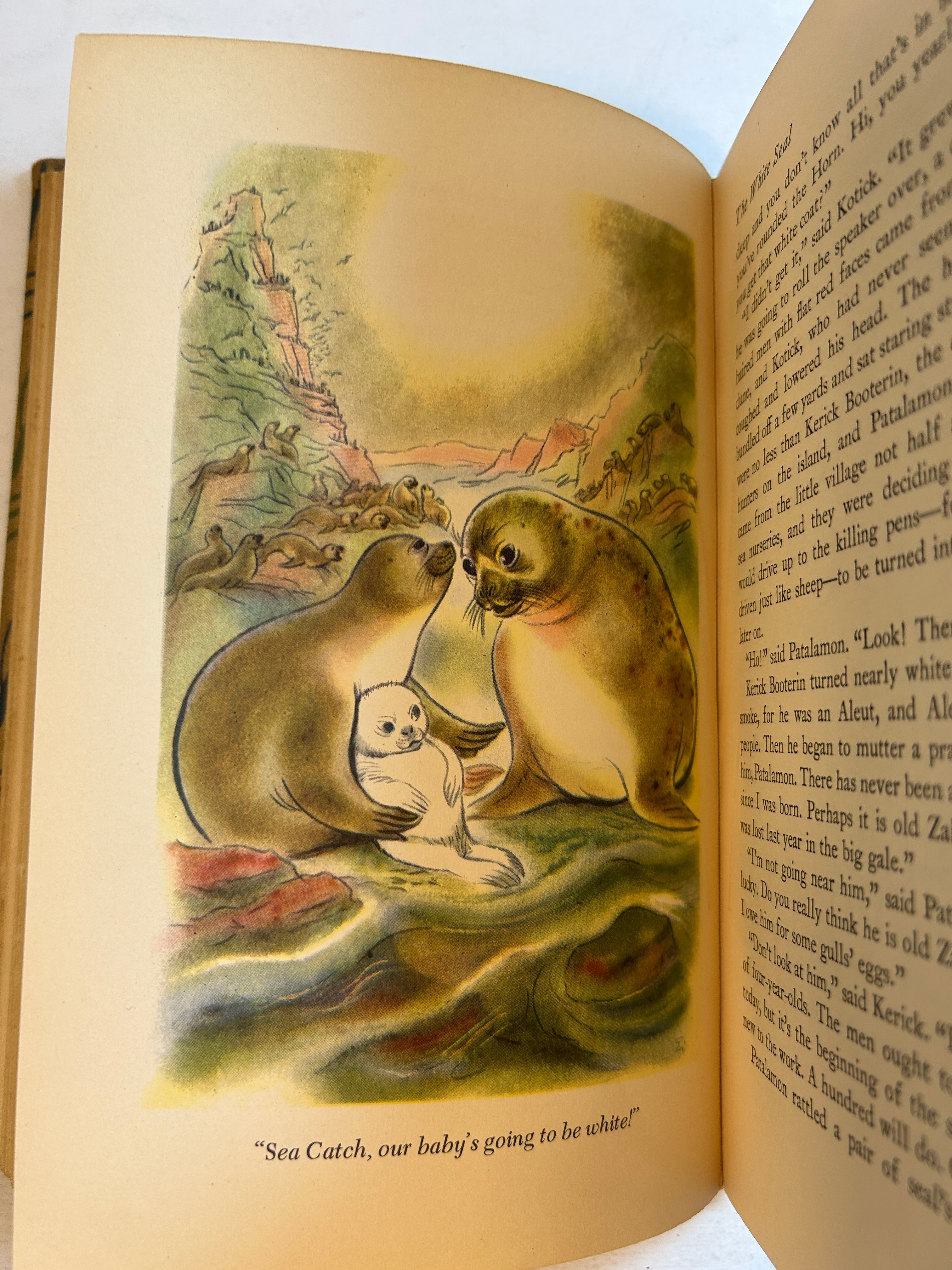 The Jungle Book Rudyard Kipling Illustrated Junior Lib Grosset & Dunlop 1950 HC