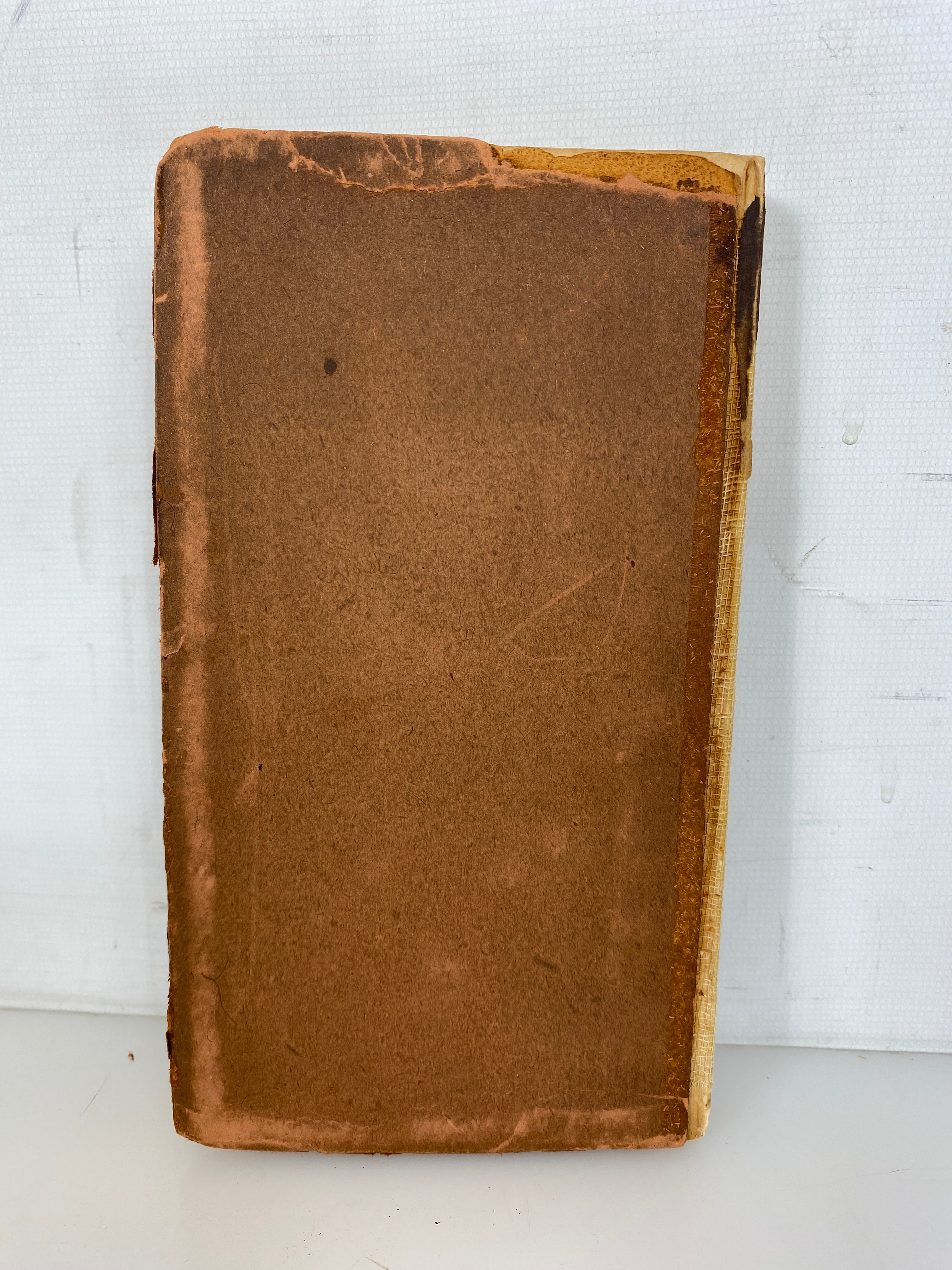 The Kasidah of Haji Abdu El-Yezdi 1913 Antique 9th Edition Leather Bound