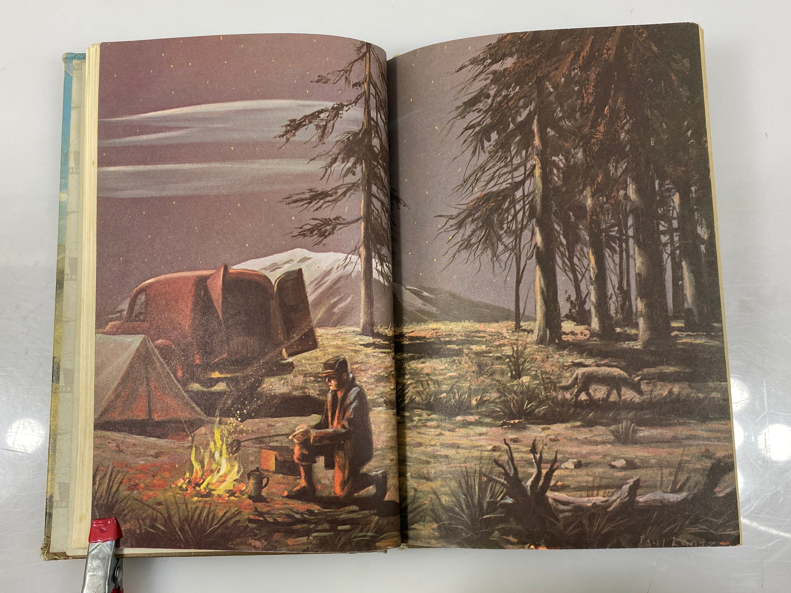 The Lost Dog by Edwin Way Teale 1968 Vintage Ex-Library HC