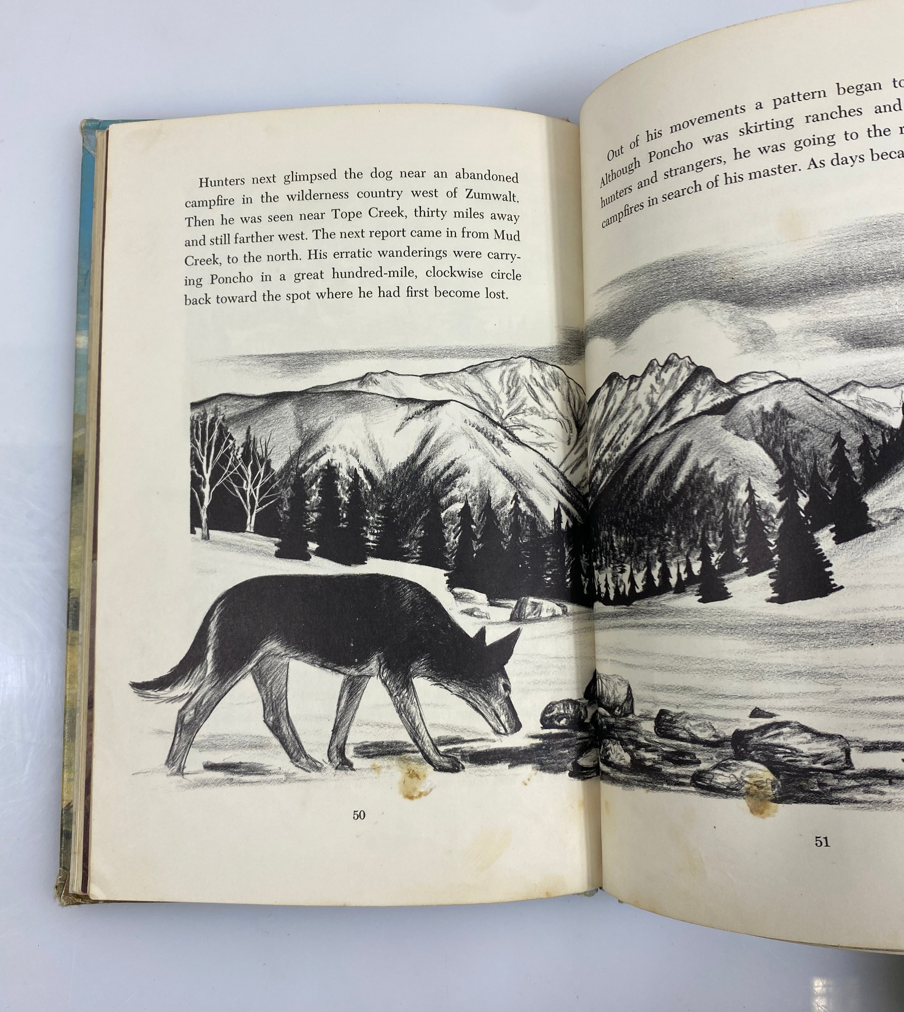 The Lost Dog by Edwin Way Teale 1968 Vintage Ex-Library HC