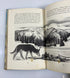 The Lost Dog by Edwin Way Teale 1968 Vintage Ex-Library HC