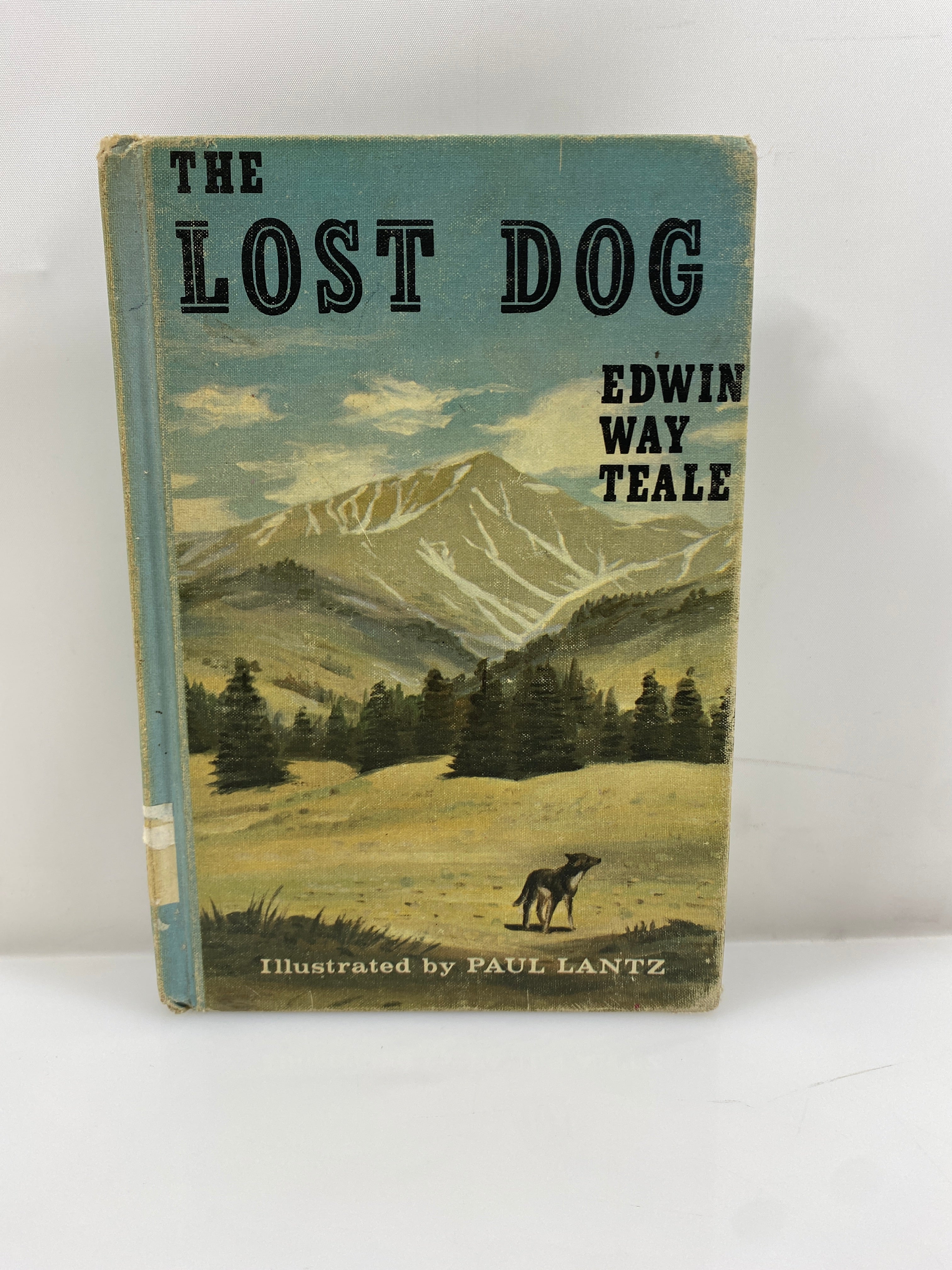 The Lost Dog by Edwin Way Teale 1968 Vintage Ex-Library HC