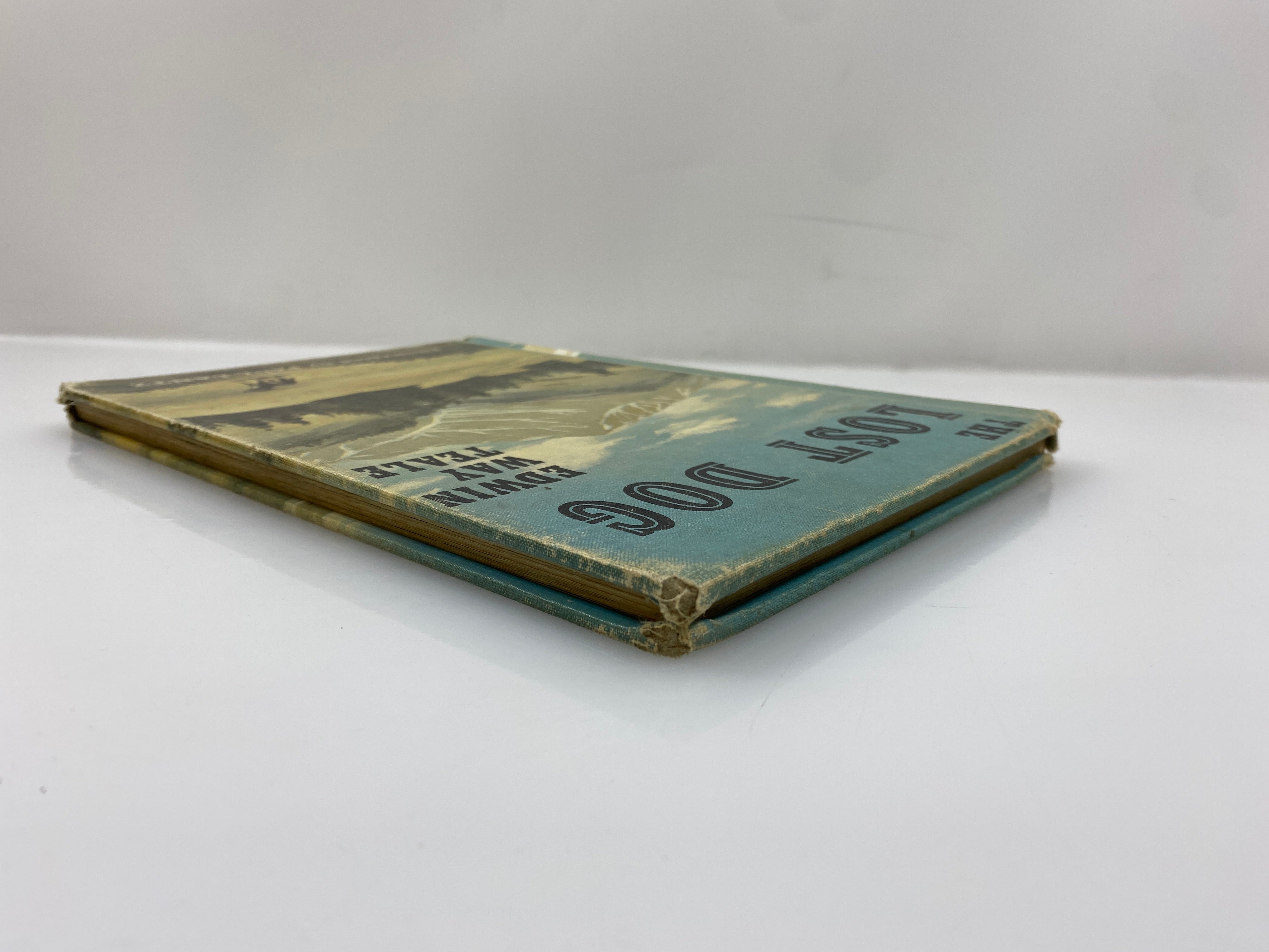 The Lost Dog by Edwin Way Teale 1968 Vintage Ex-Library HC