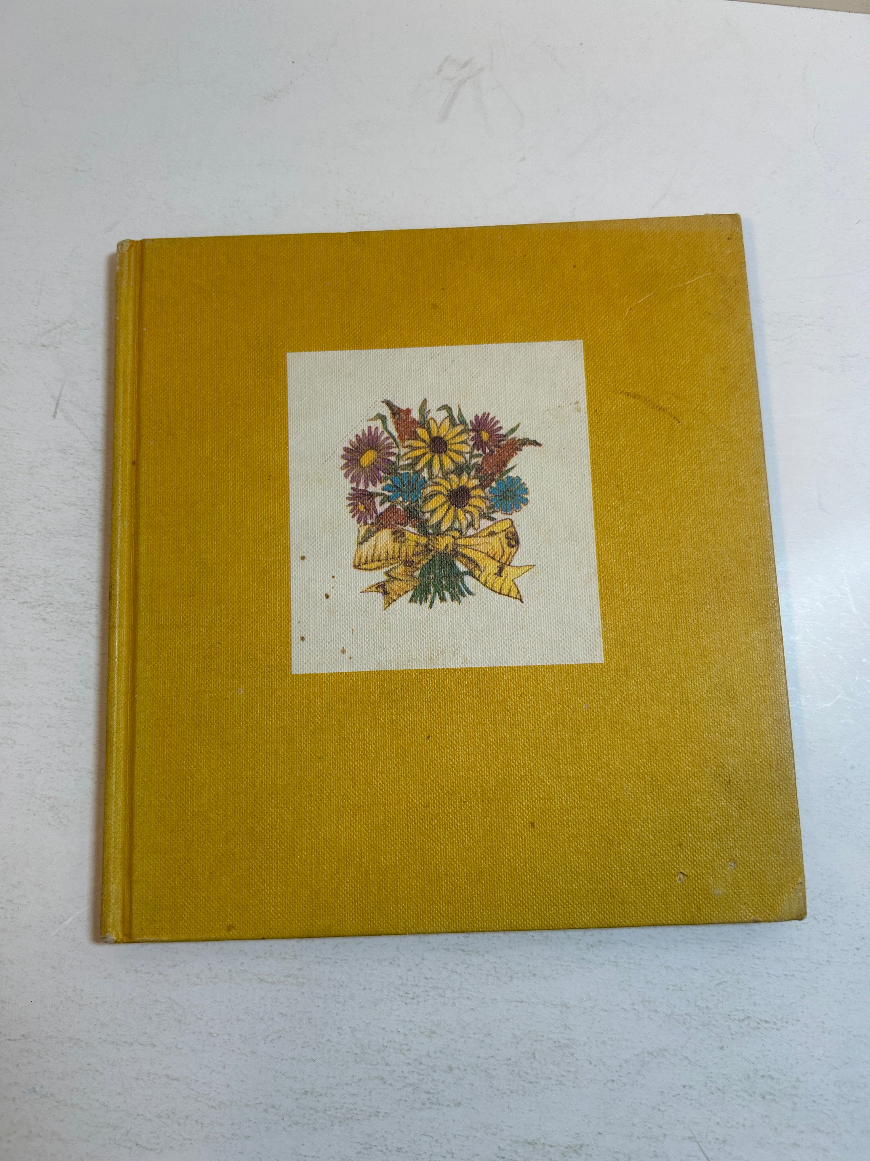 The Magic of Growing Up 1970 Hallmark Vintage - Dean Walley & Elissa Scott HC