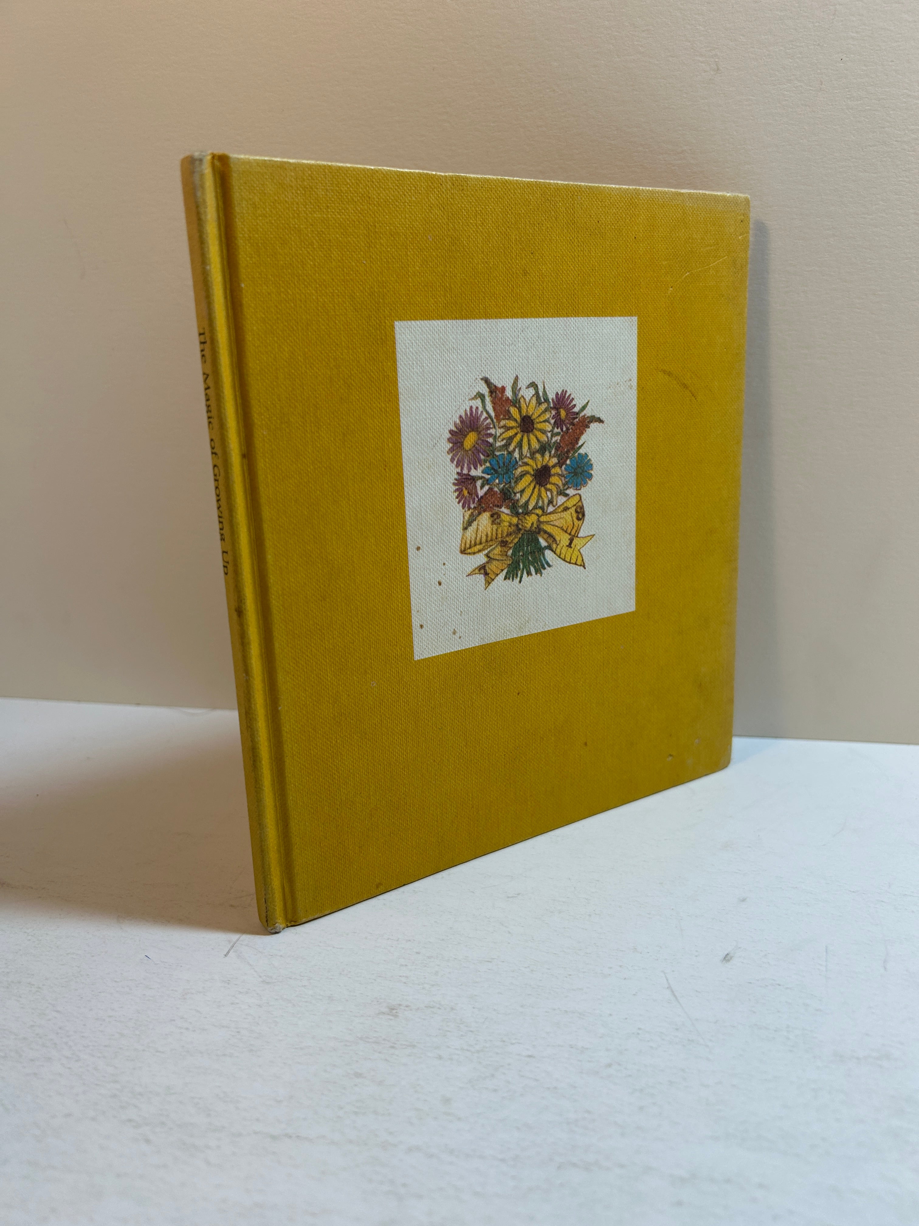 The Magic of Growing Up 1970 Hallmark Vintage - Dean Walley & Elissa Scott HC