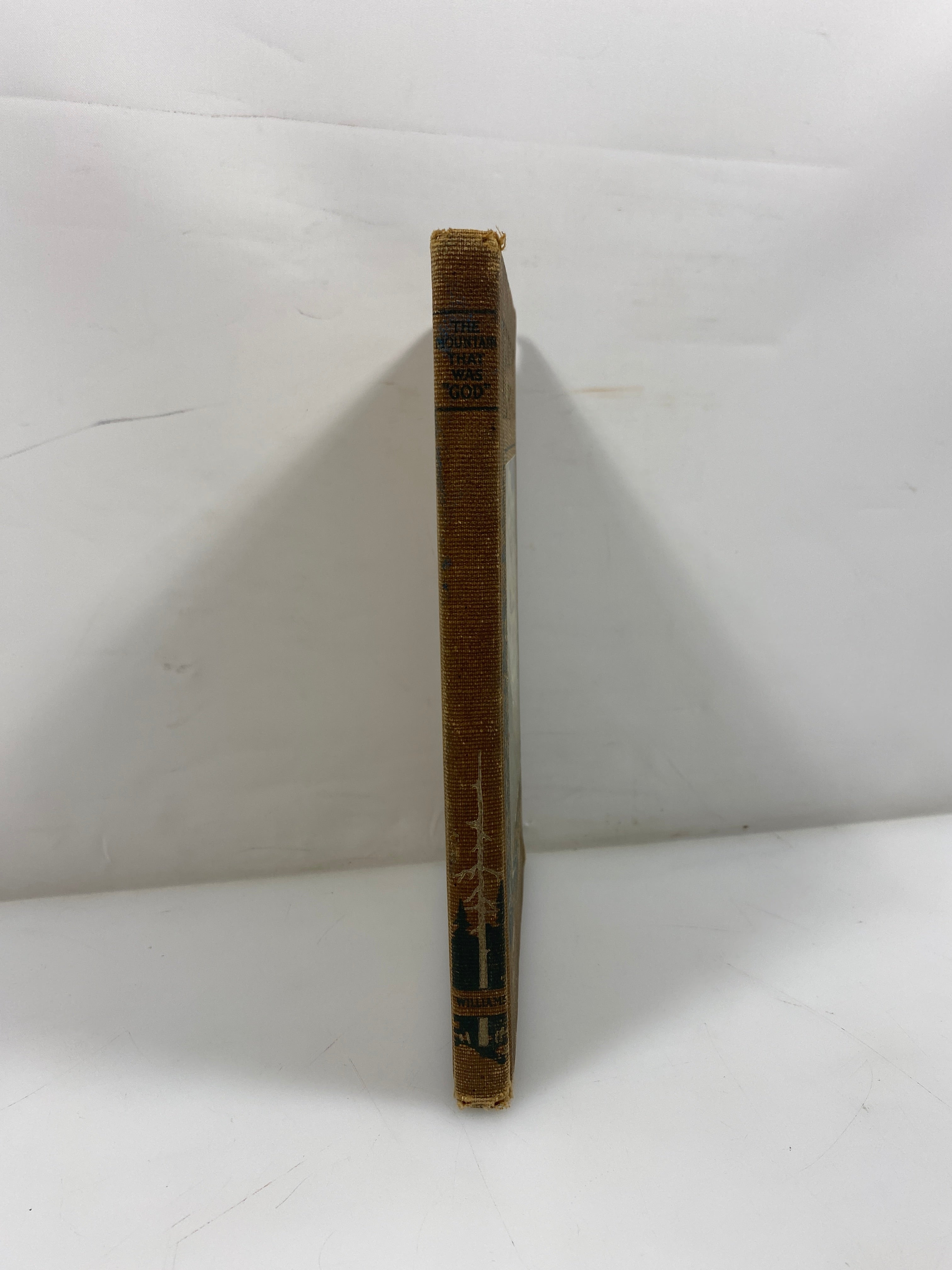 The Mountain That Was "God" by John H. Williams 1911 HC