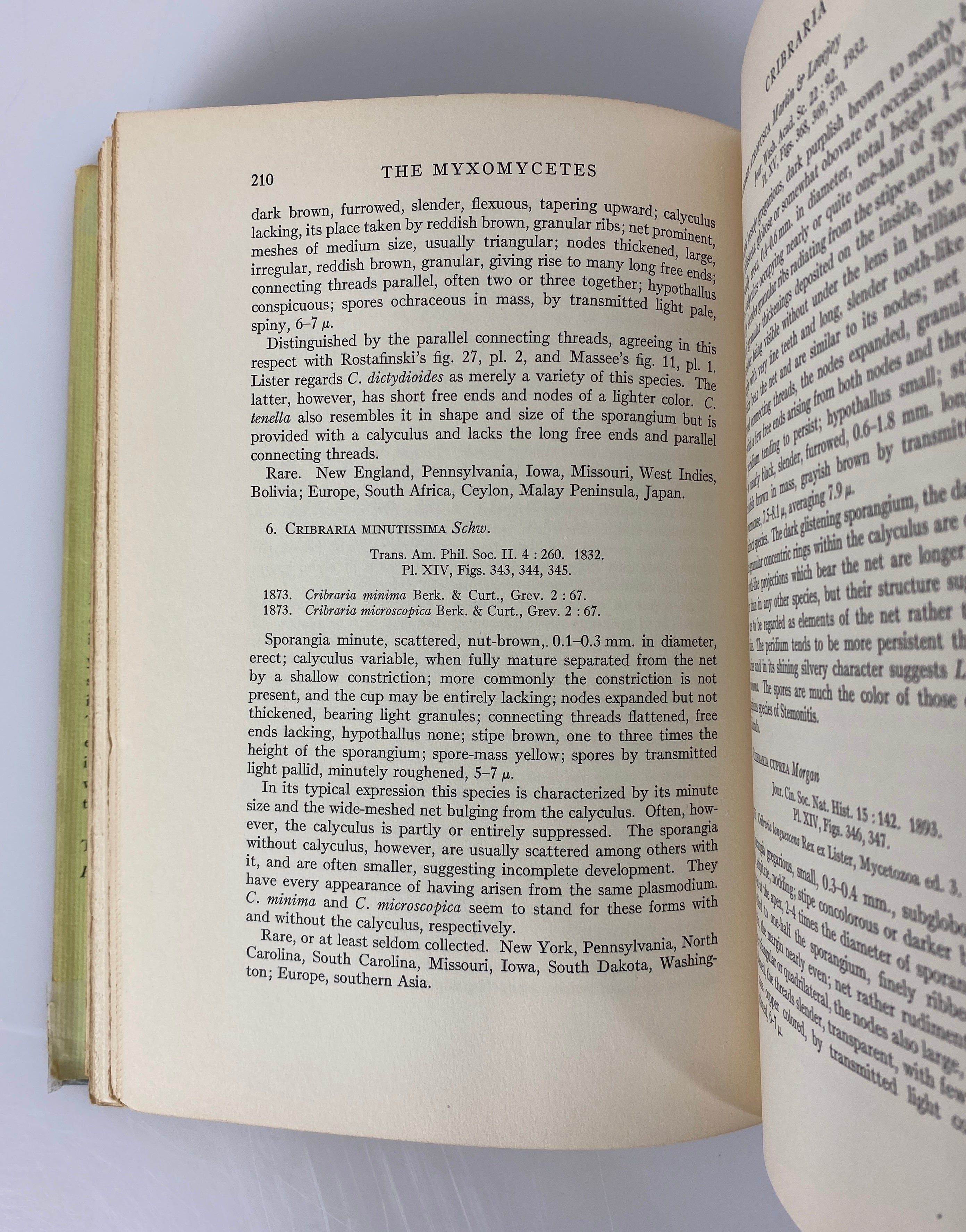 The Myxomycetes by MacBride/Martin Vintage 1934 First Edition HC DJ
